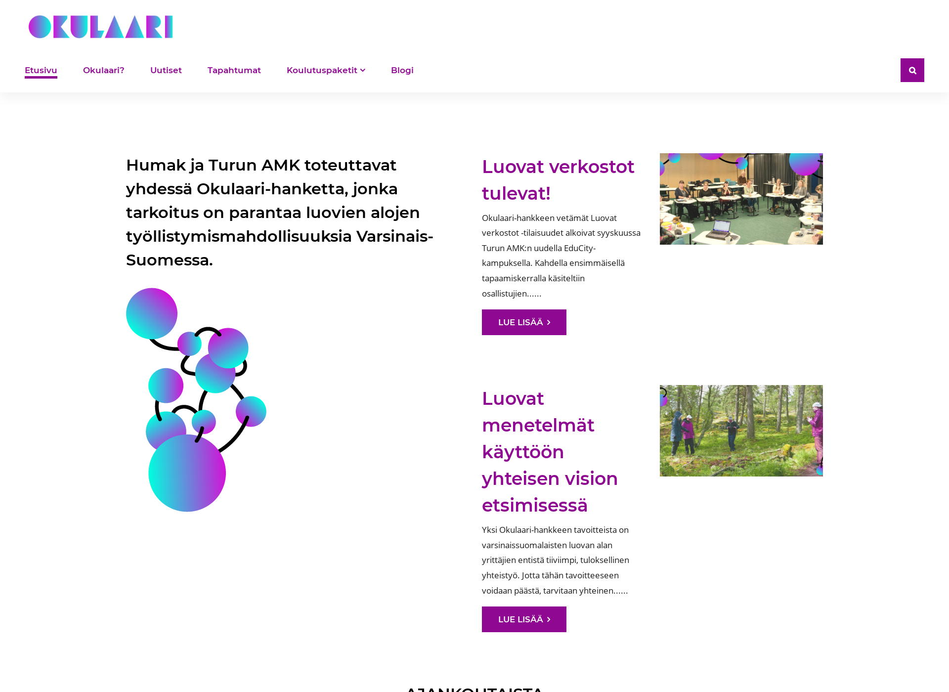Screenshot for okulaarihanke.fi