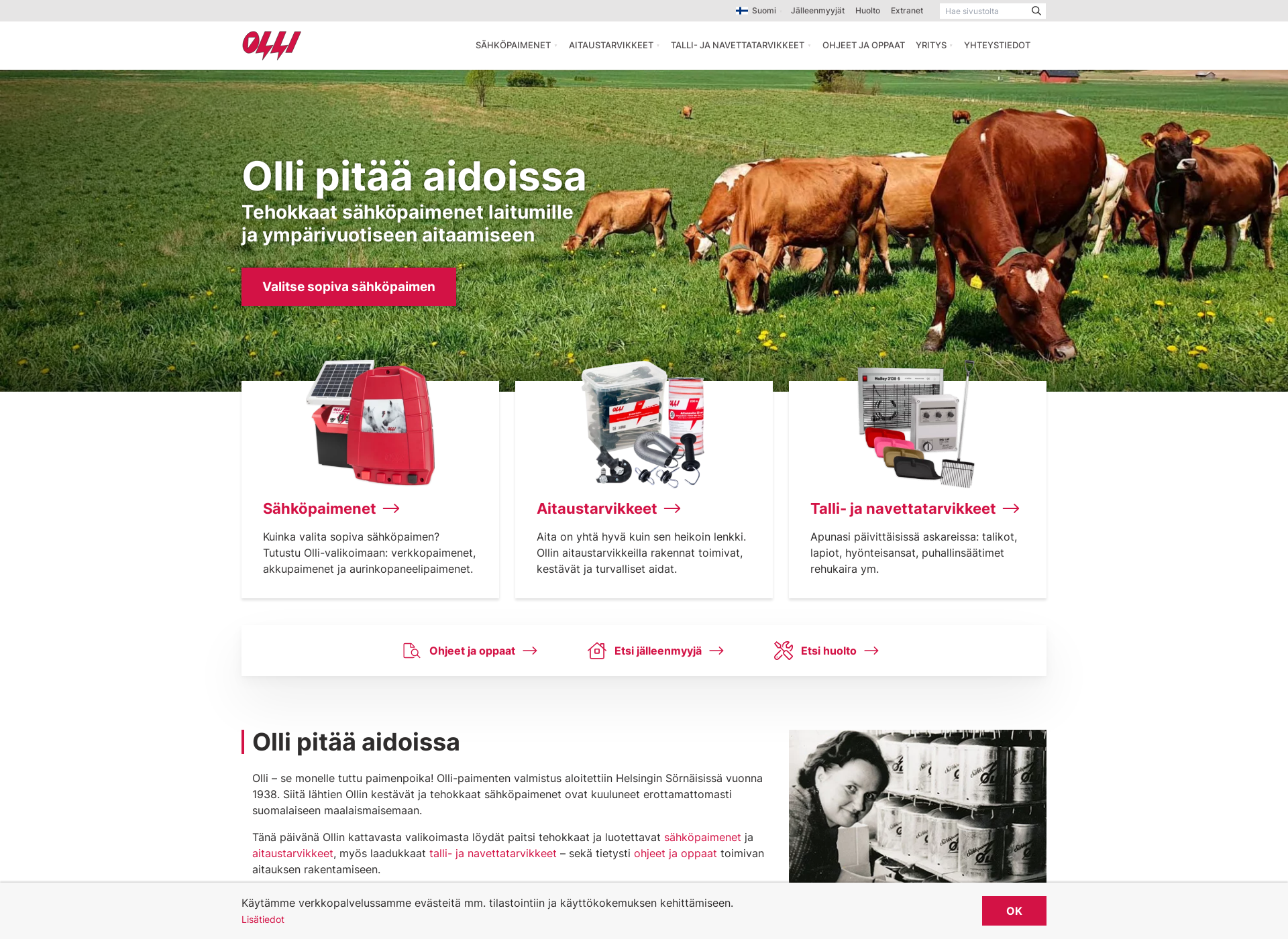 Screenshot for olli.fi
