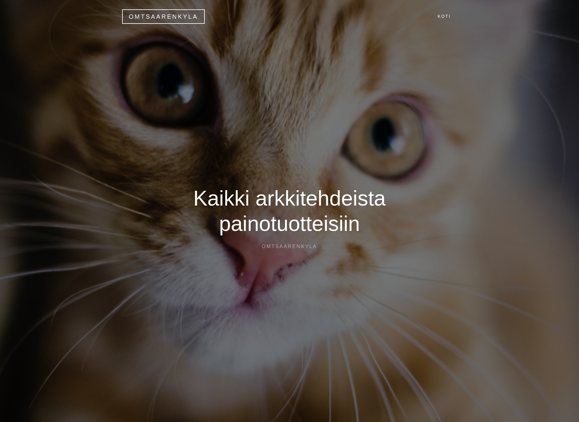 Screenshot for omtsaarenkyla.fi