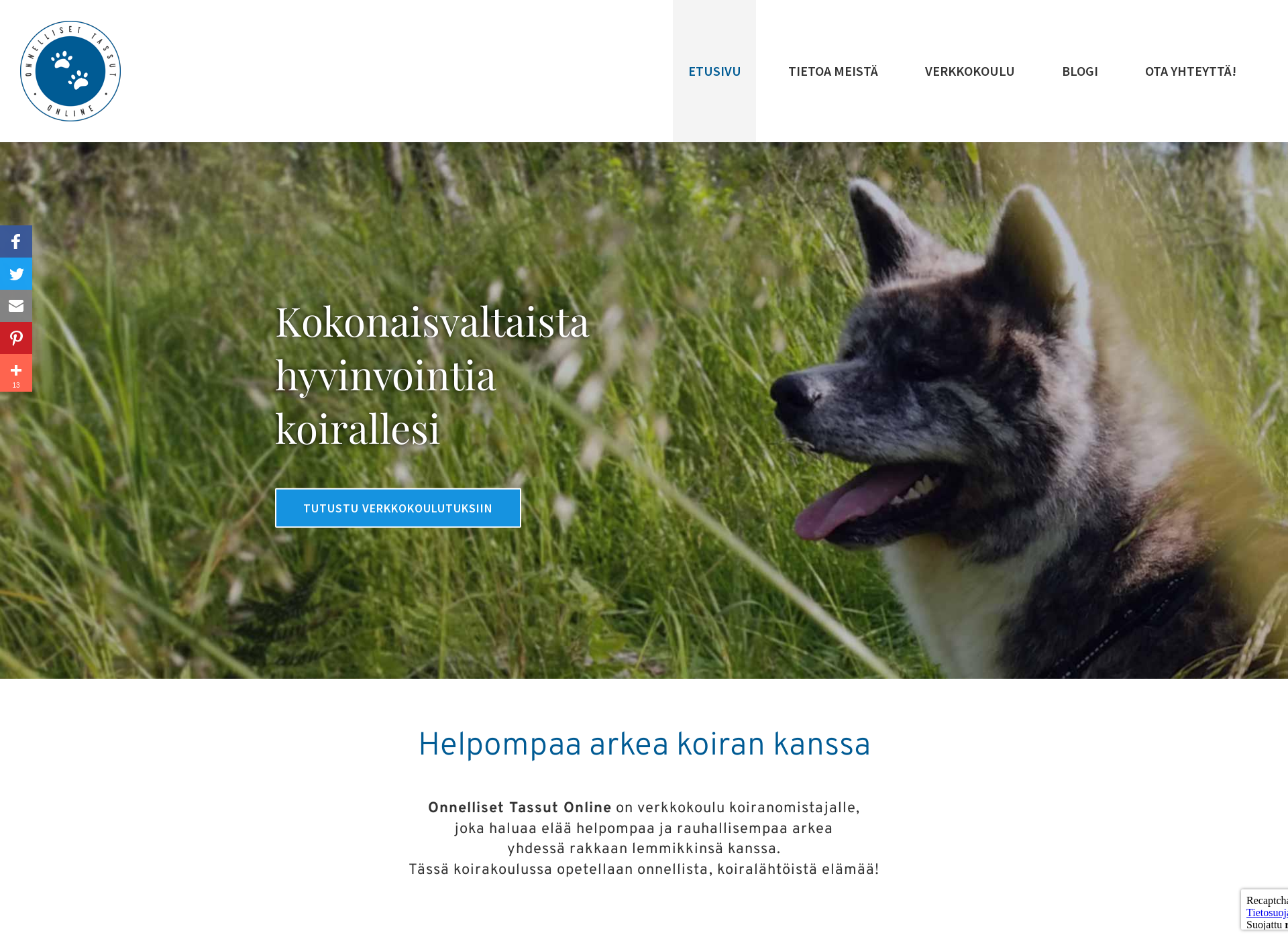 Skärmdump för onnellisettassut.fi
