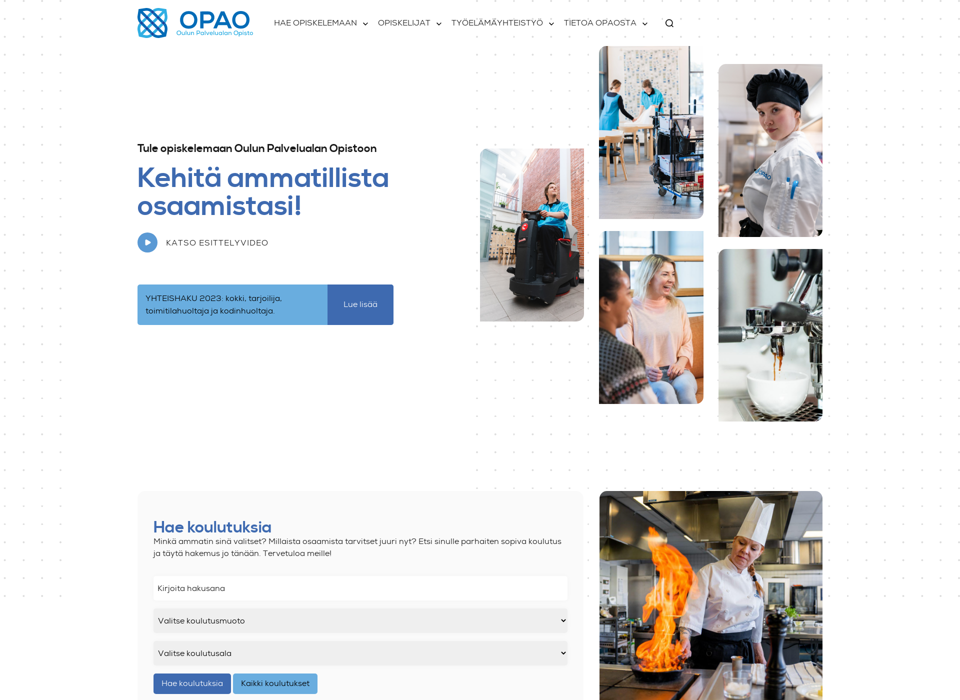 Skärmdump för opao.fi