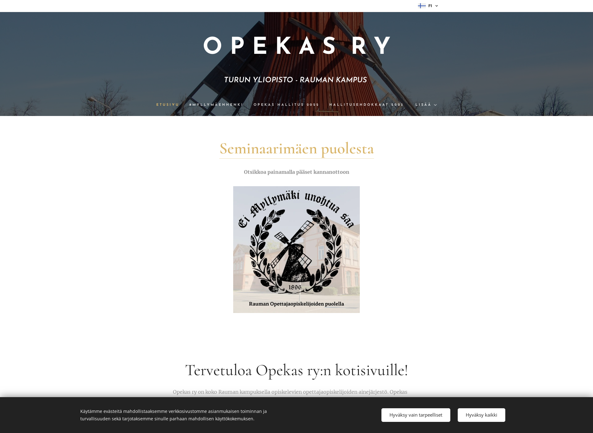 Screenshot for opekas.fi
