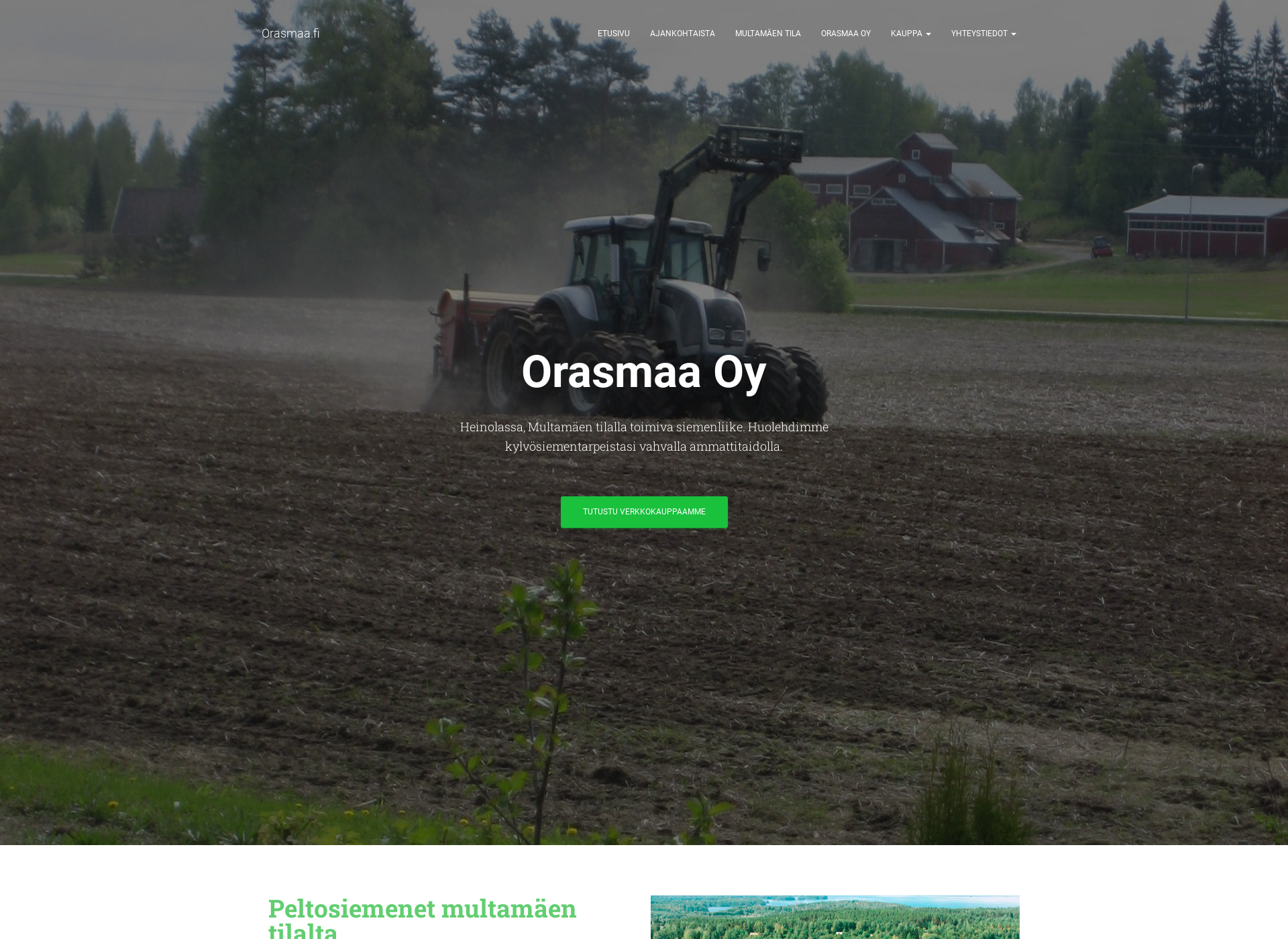 Screenshot for orasmaa.fi