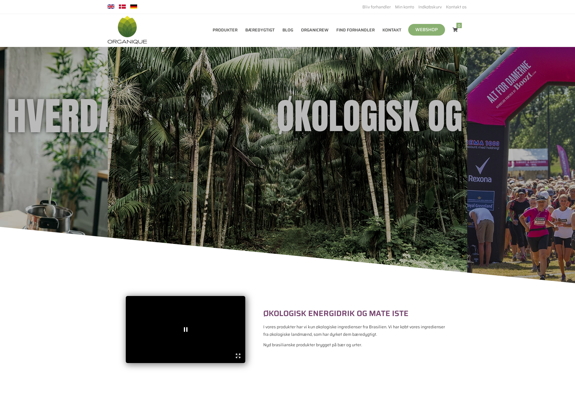 Screenshot for organiqueenergy.fi