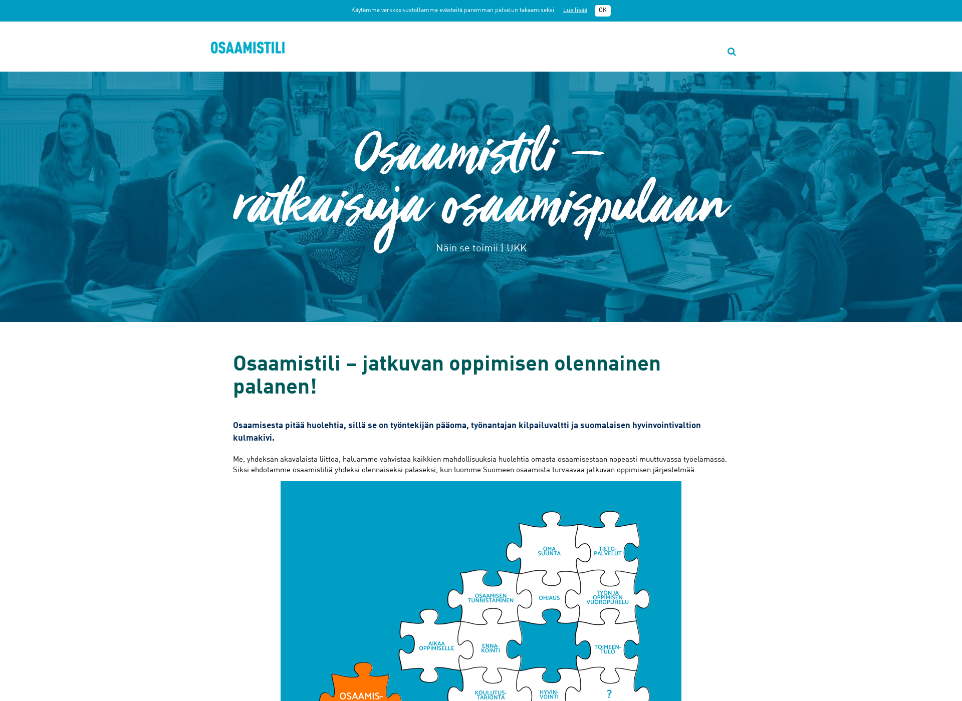 Skärmdump för osaamistili.fi