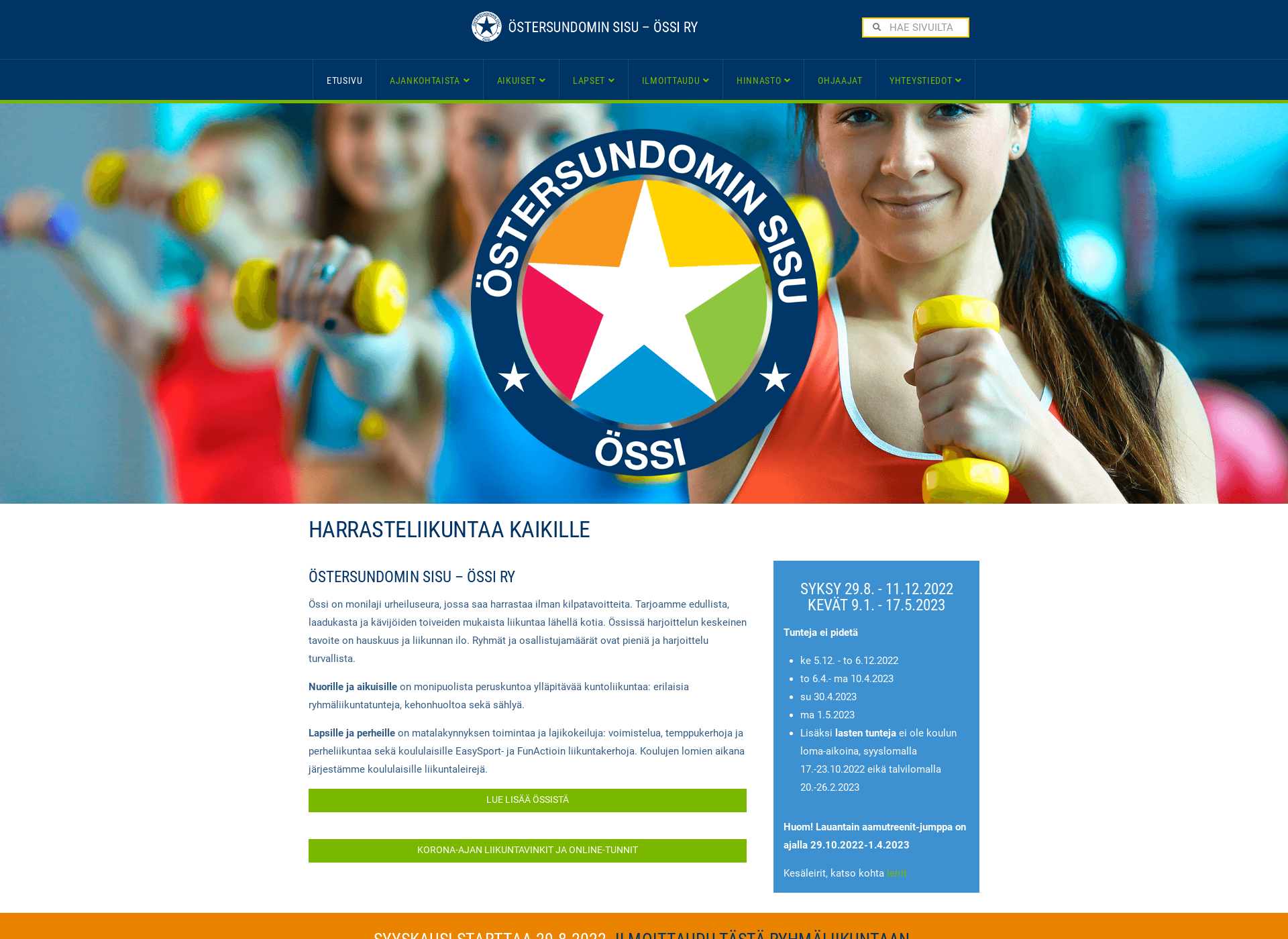 Screenshot for ostersundominsisu.fi