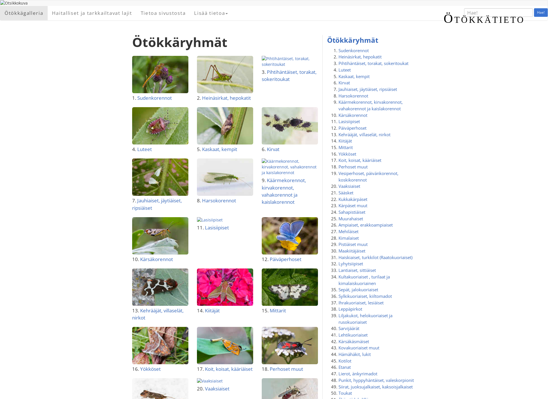Skärmdump för otokkatieto.fi