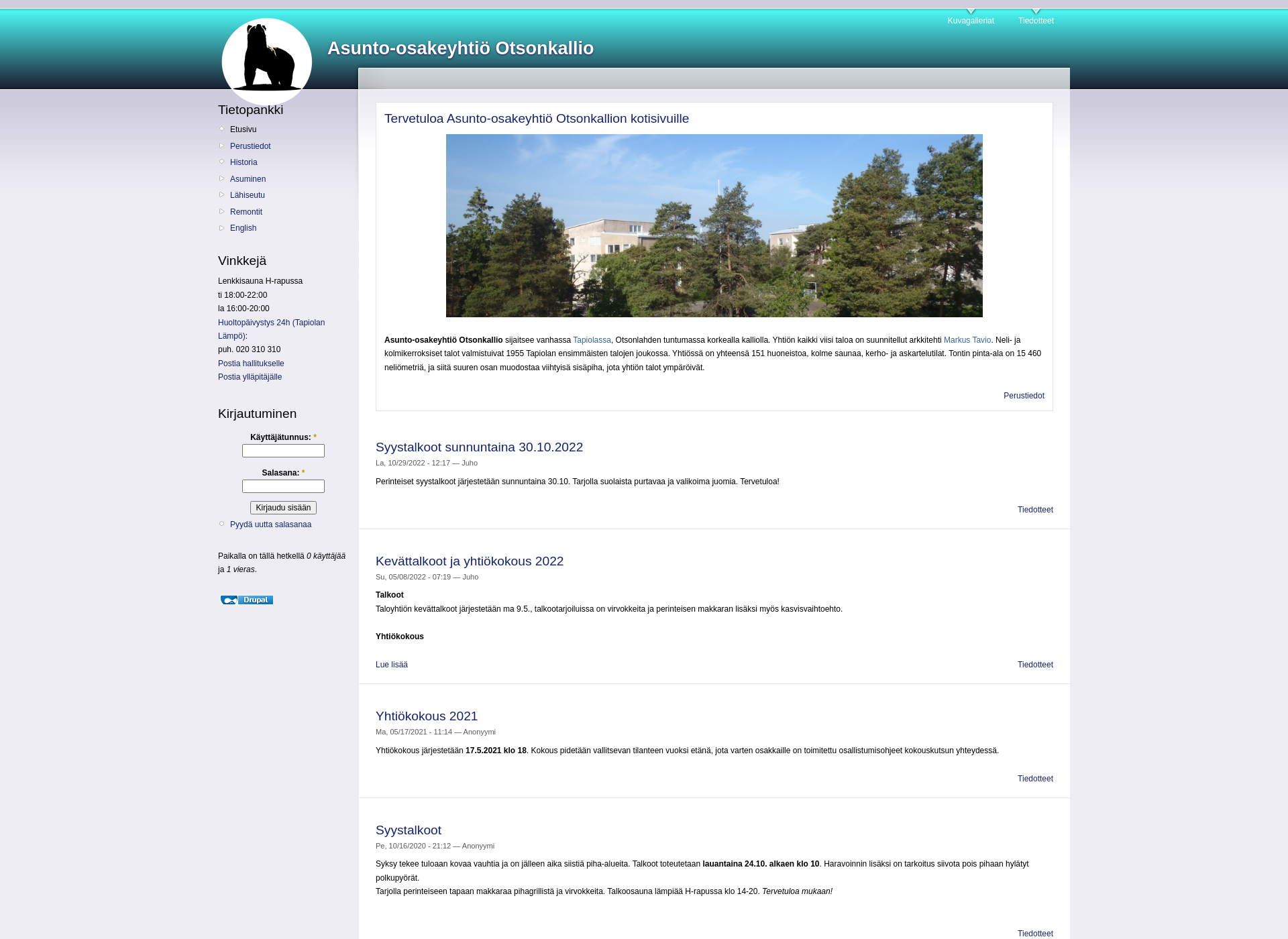 Screenshot for otsonkallio.fi