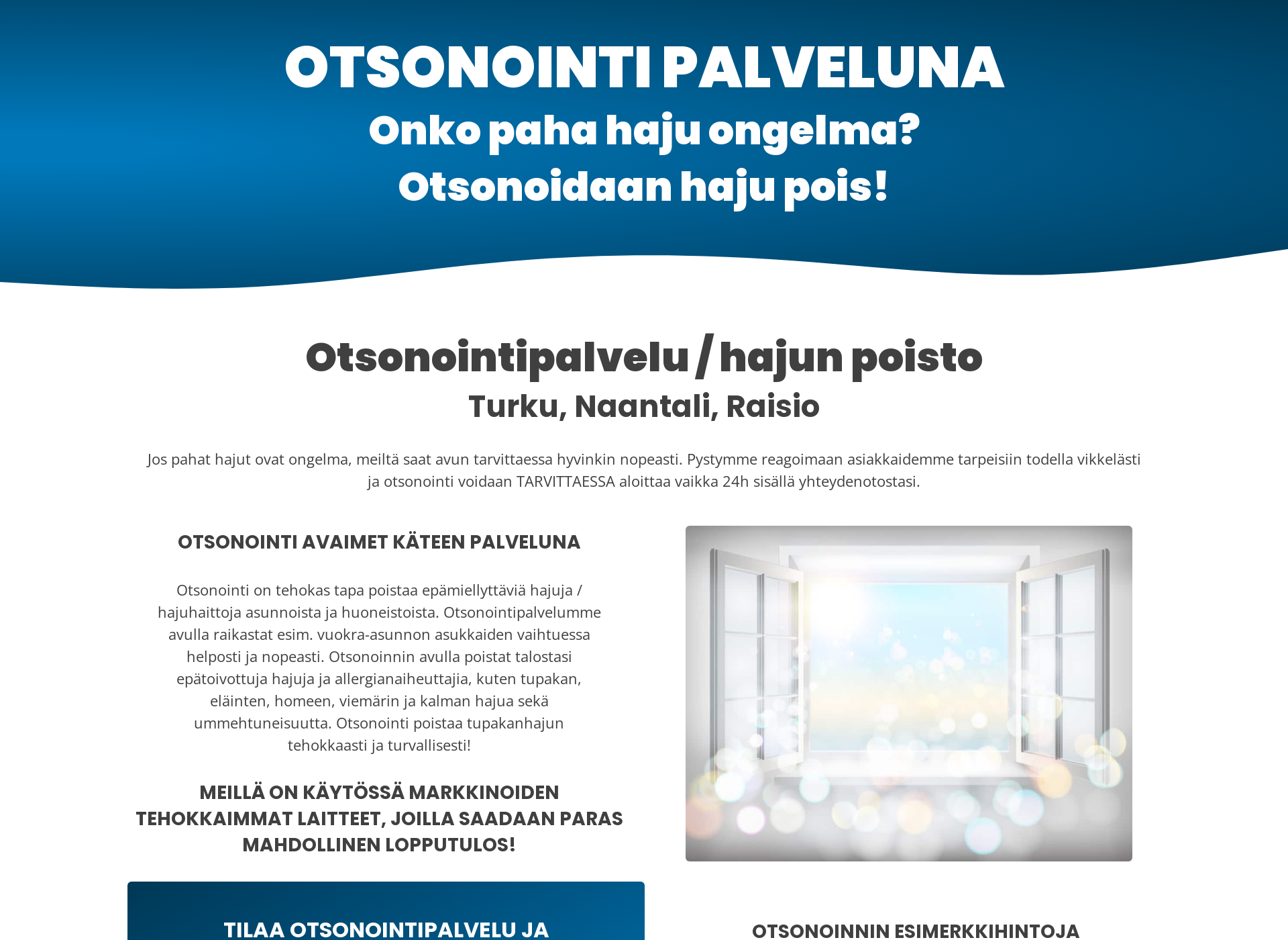 Näyttökuva otsonointipalveluna.fi