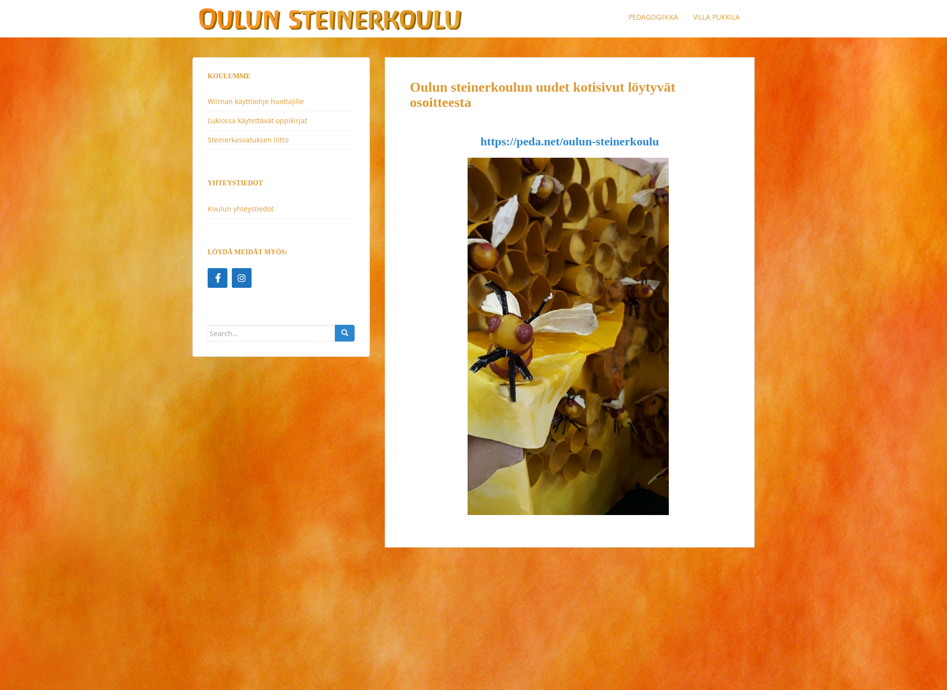 Skärmdump för oulun-steinerkoulu.fi