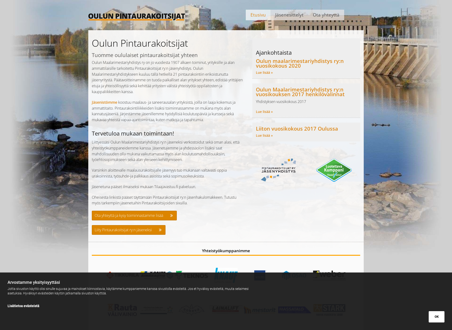 Screenshot for oulunpintaurakoitsijat.fi