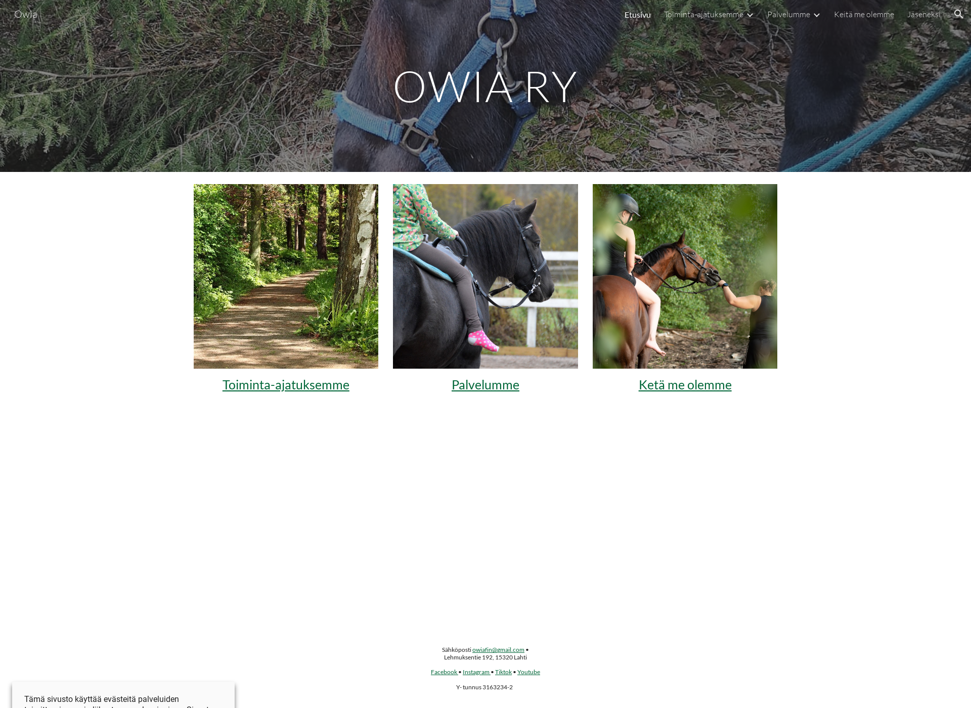 Screenshot for owia.fi