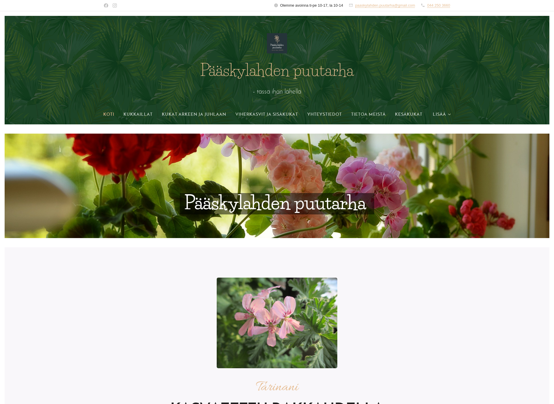 Screenshot for paaskylahdenpuutarha.fi
