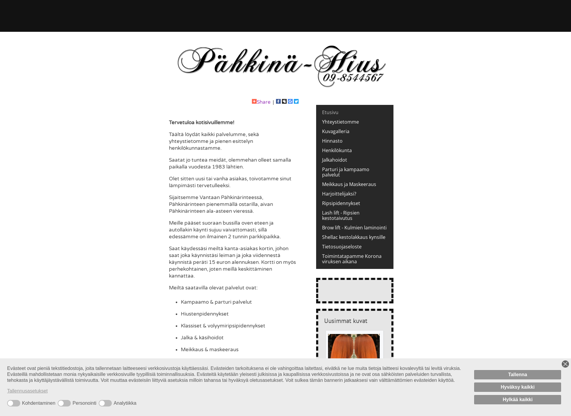 Screenshot for pahkinahius.fi