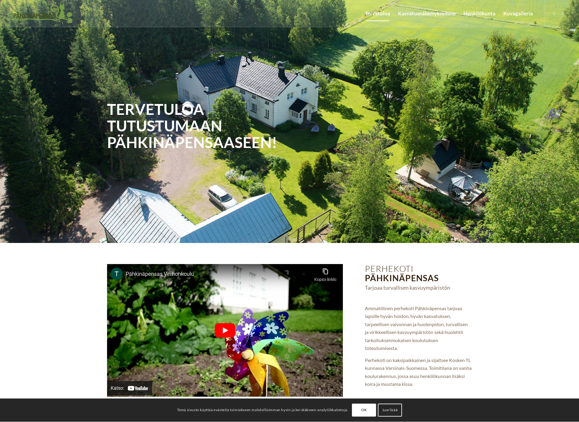 Screenshot for pahkinapensas.fi