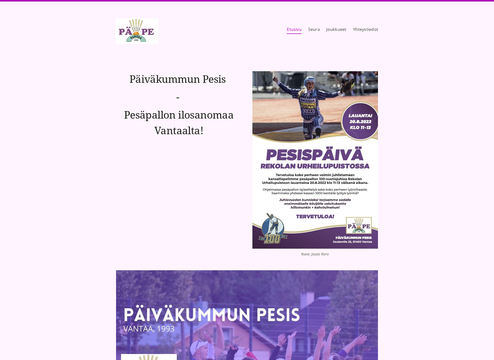 Näyttökuva paivakummunpesis.fi