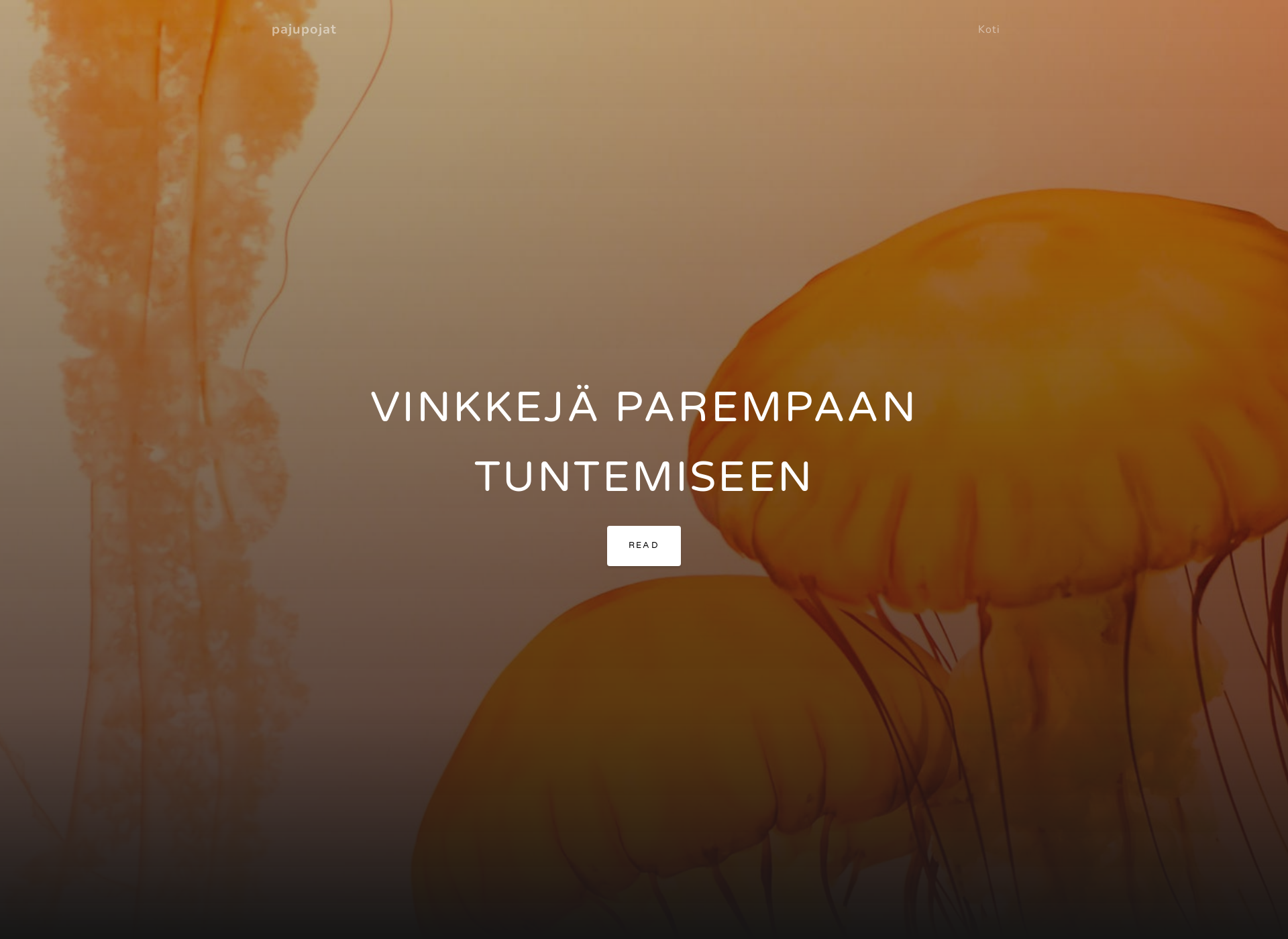 Screenshot for pajupojat.fi