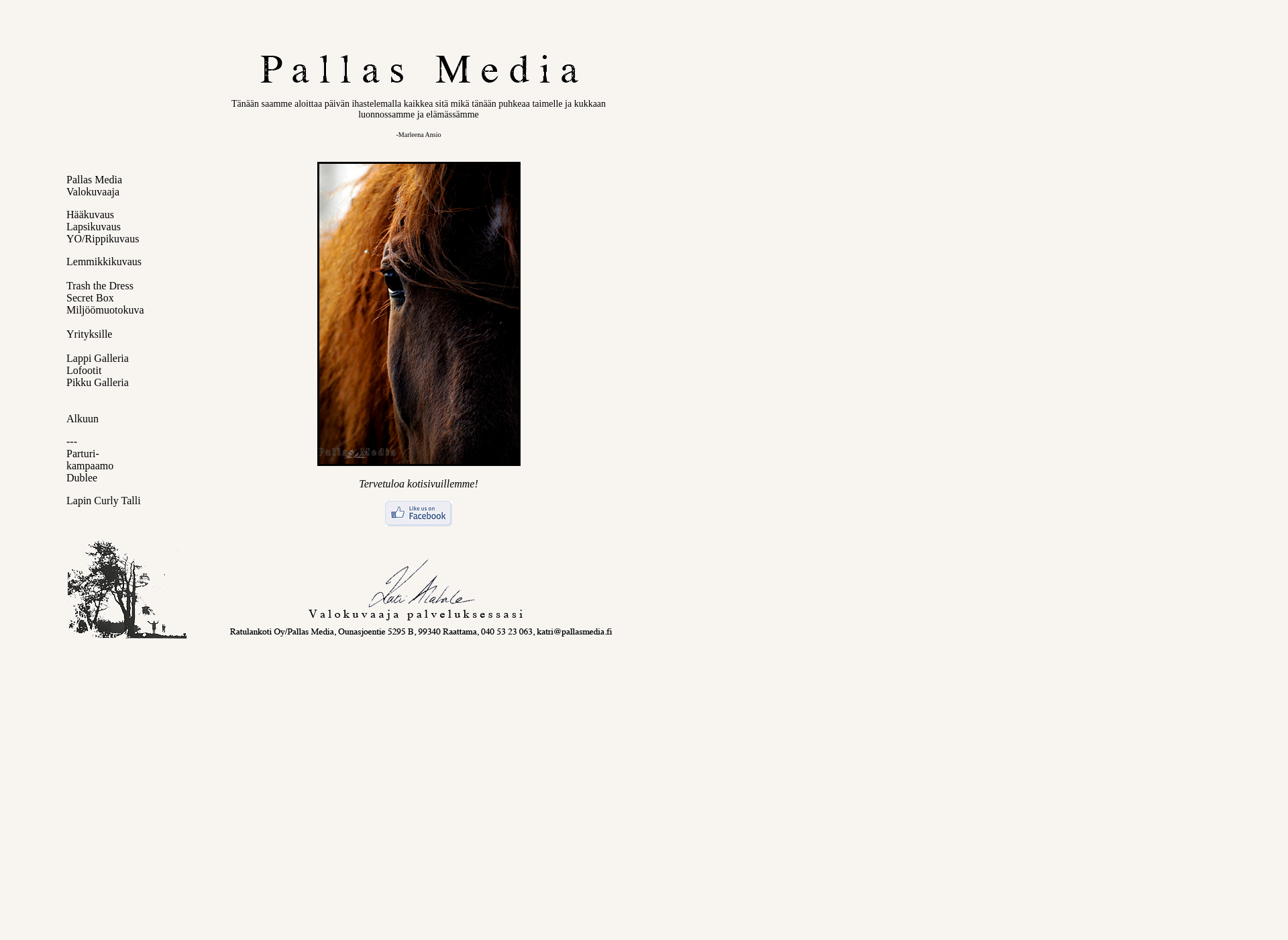 Skärmdump för pallasmedia.fi
