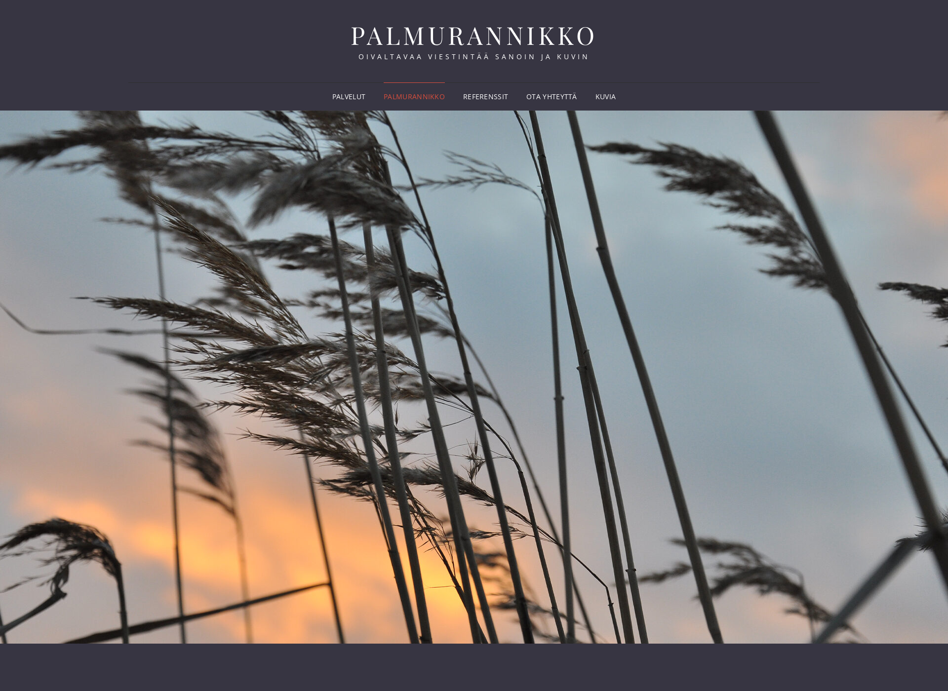 Skärmdump för palmurannikko.fi