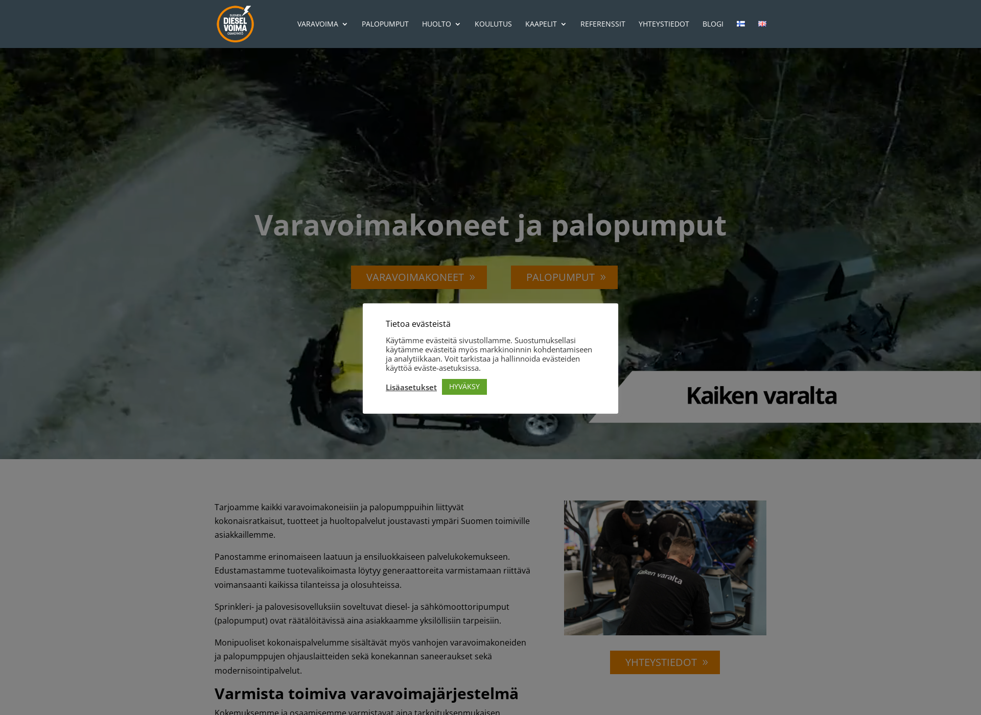 Skärmdump för palopumppusaneeraus.fi