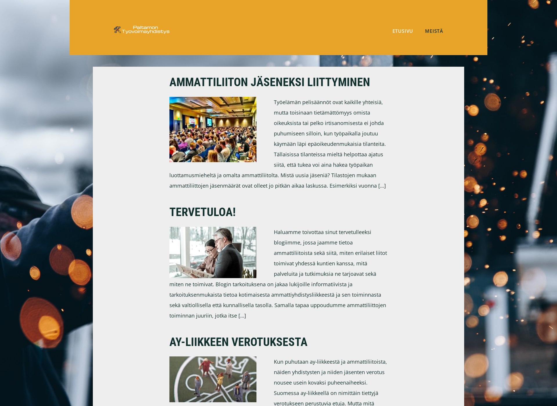 Screenshot for paltamontyovoimayhdistys.fi