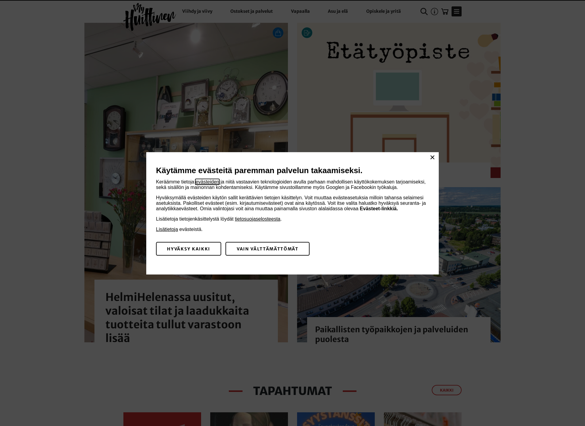 Screenshot for palvelevahuittinen.fi