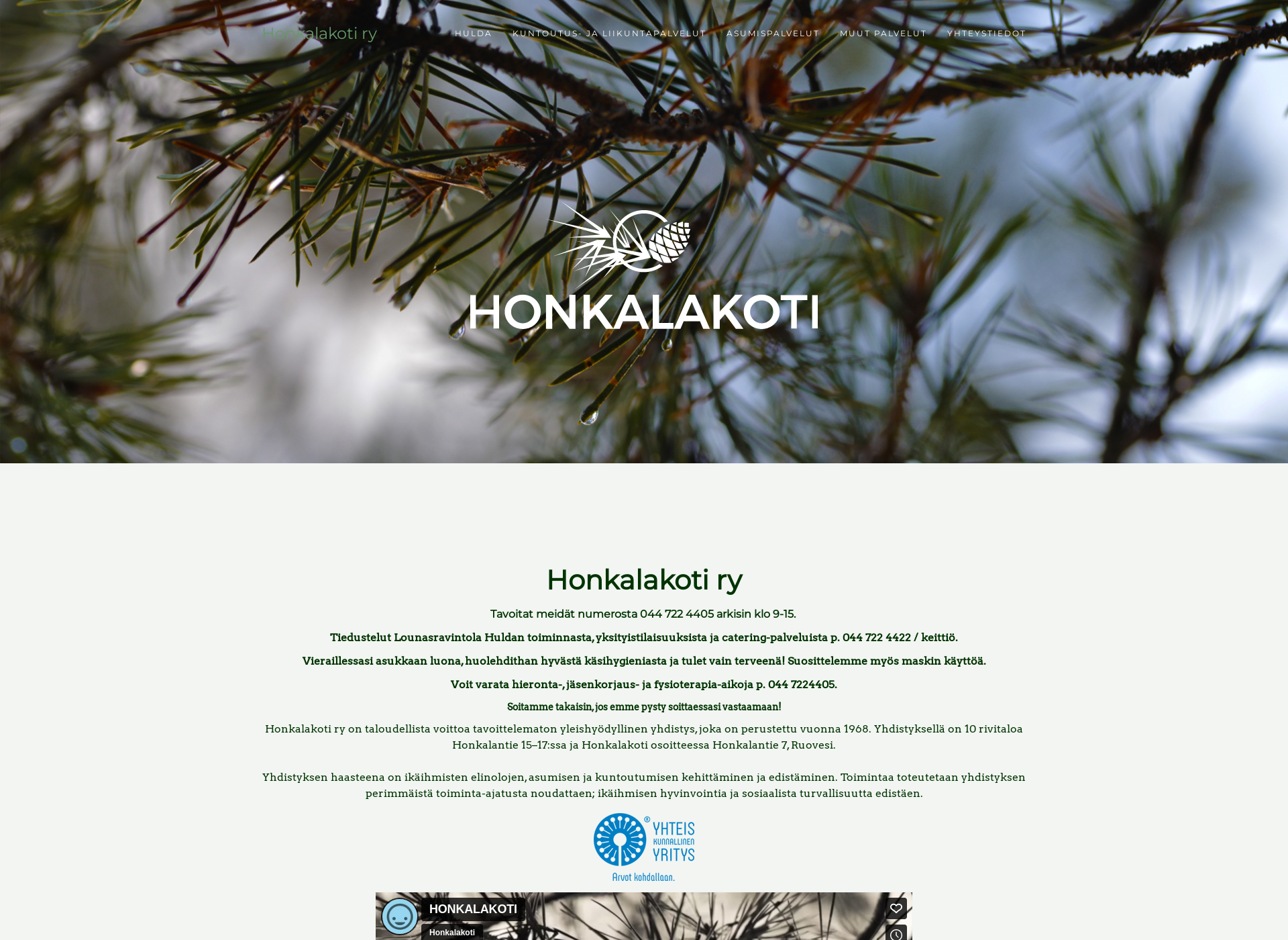 Screenshot for palvelutalohonkala.fi