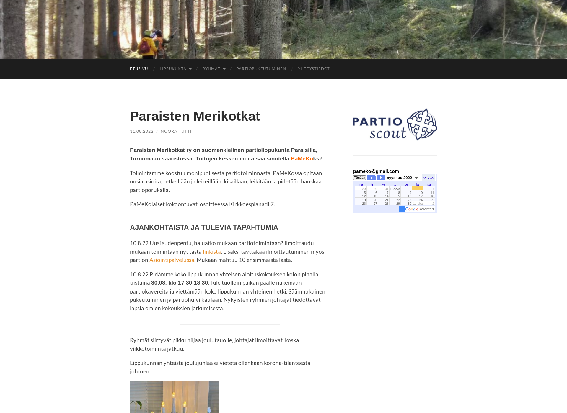 Screenshot for pameko.fi