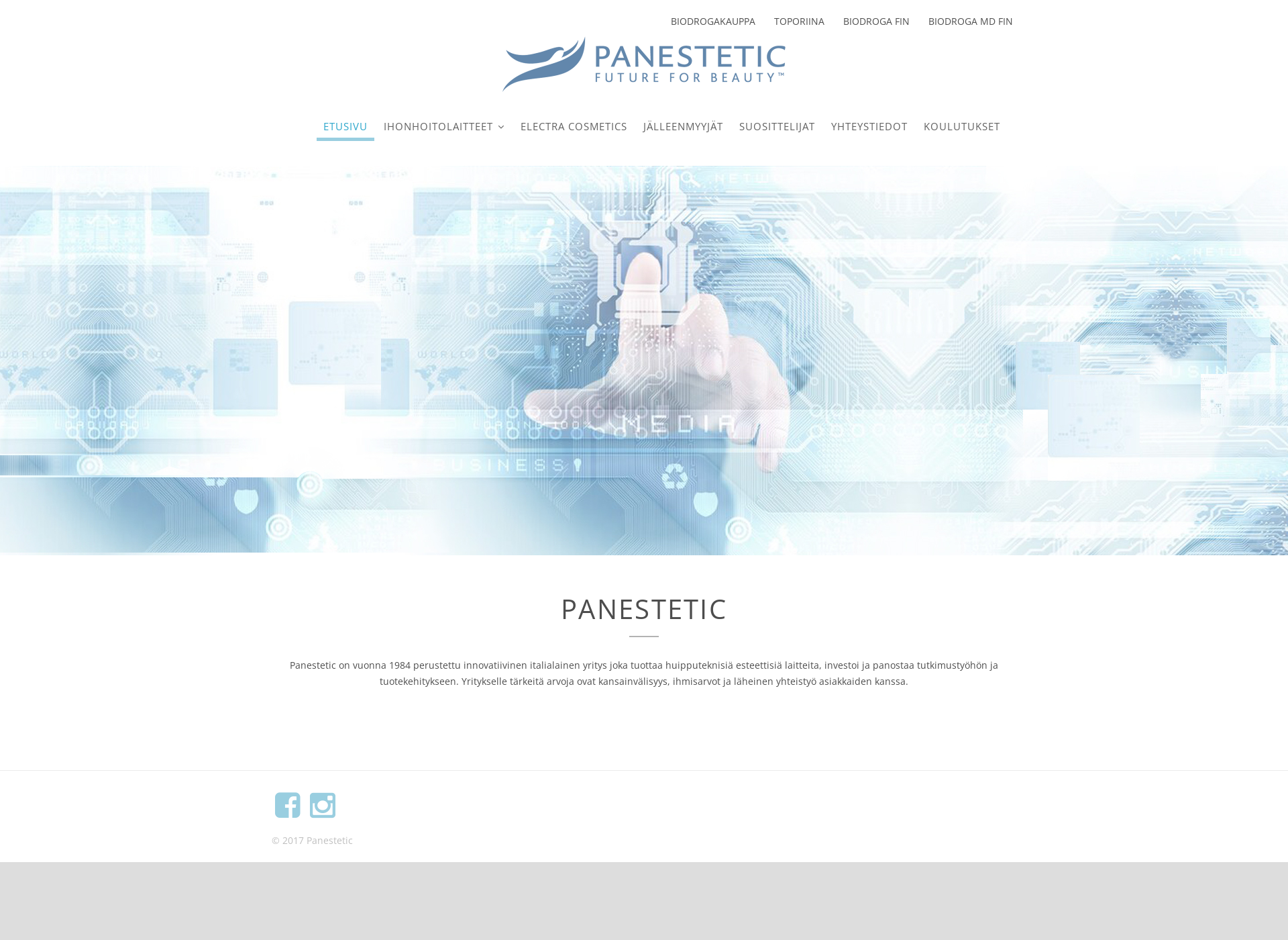 Skärmdump för panestetic.fi