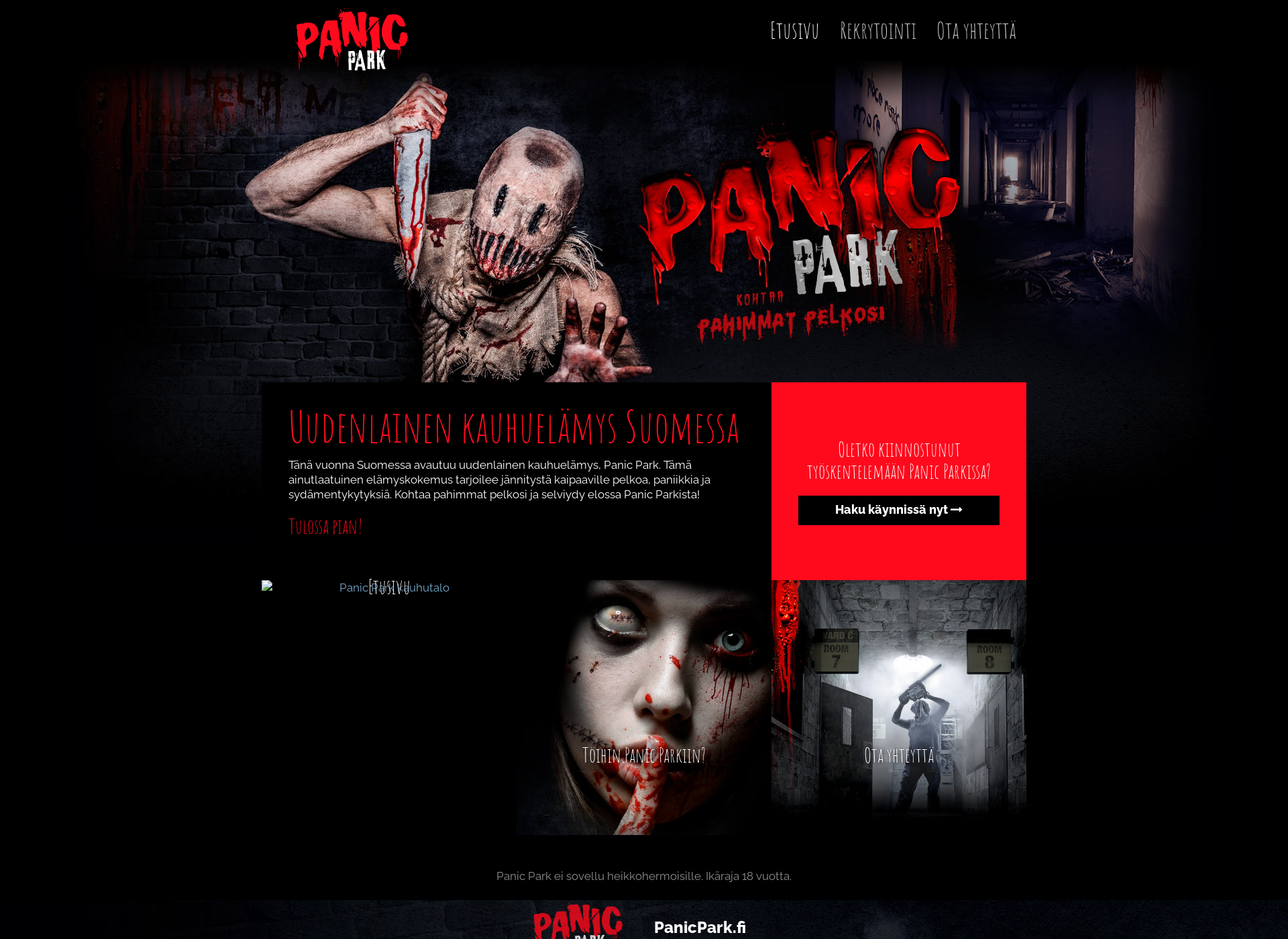 Screenshot for panicpark.fi