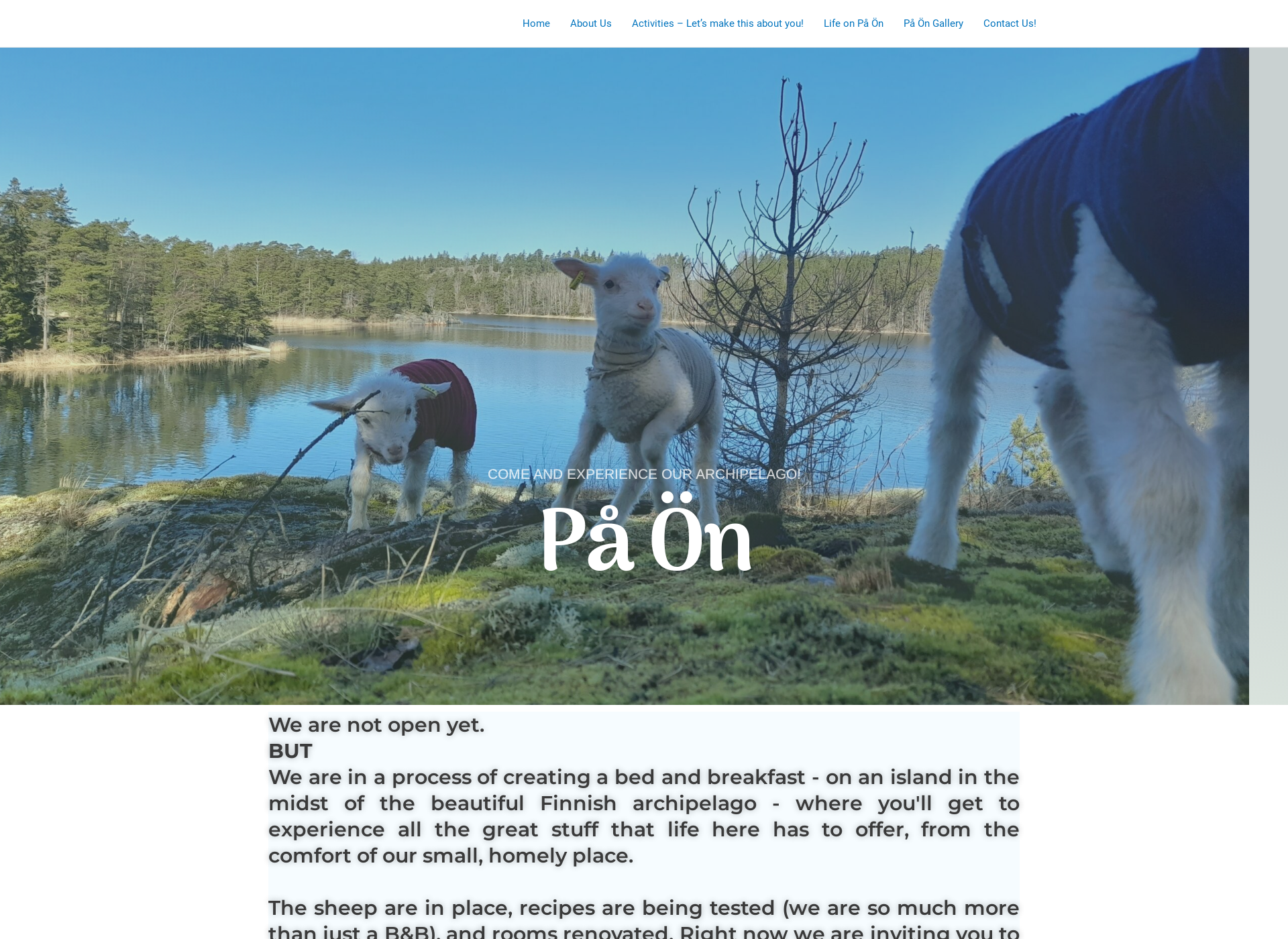 Screenshot for paon.fi