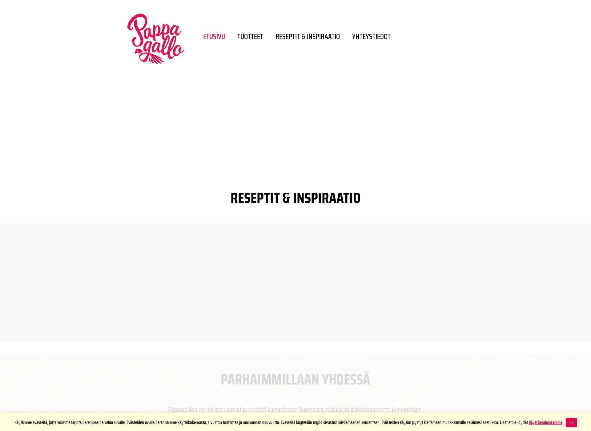Screenshot for pappagallo.fi