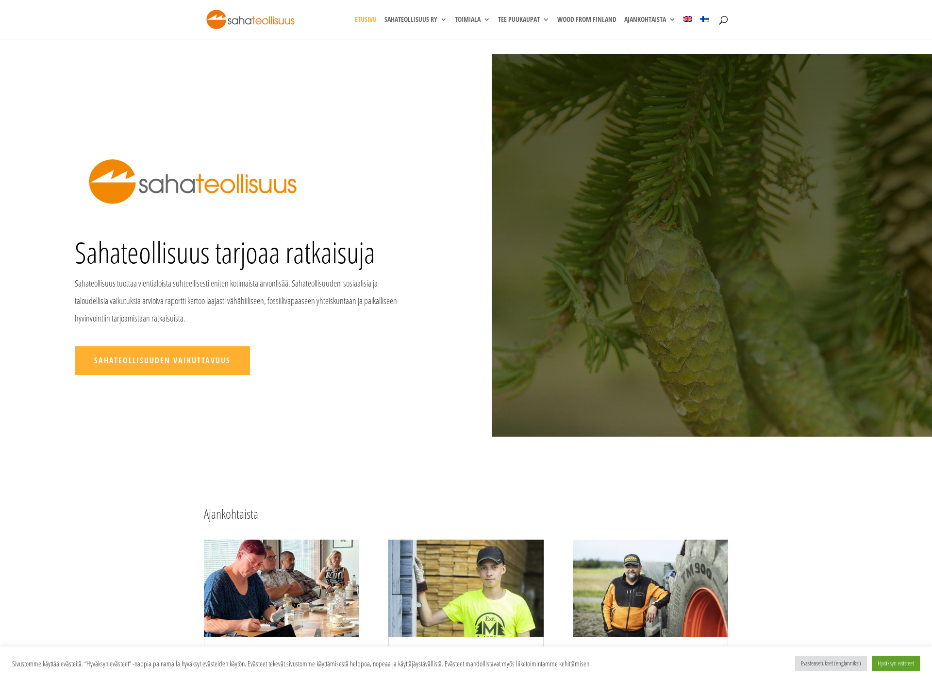 Skärmdump för paraspuukauppa.fi