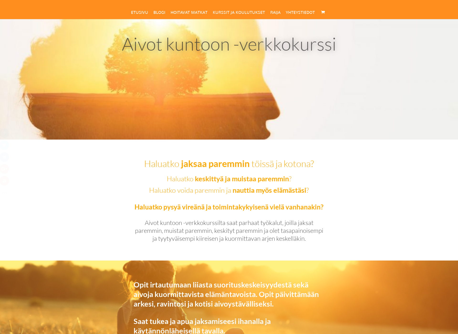 Screenshot for parastaaivoillesi.fi