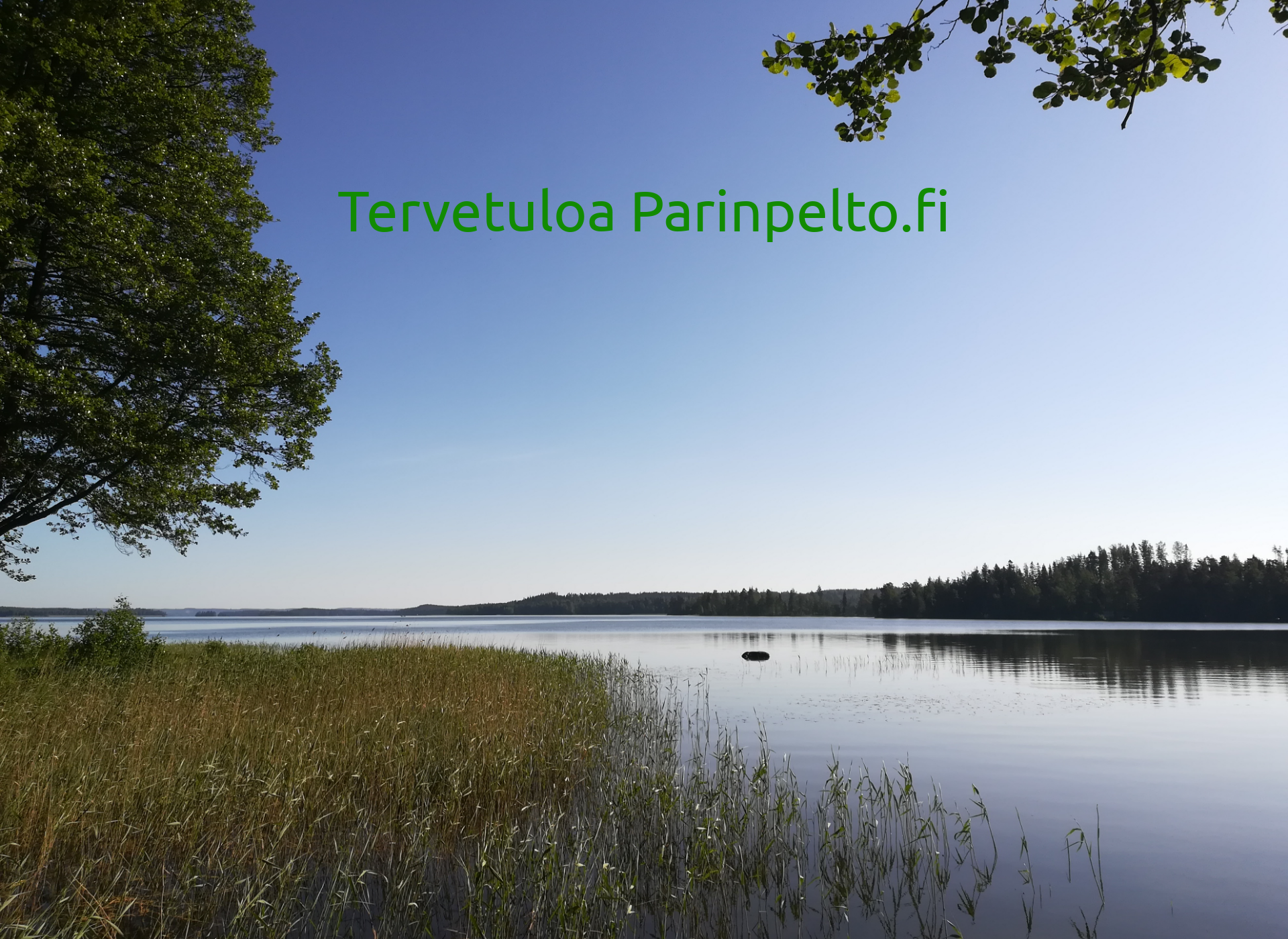 Screenshot for parinpelto.fi
