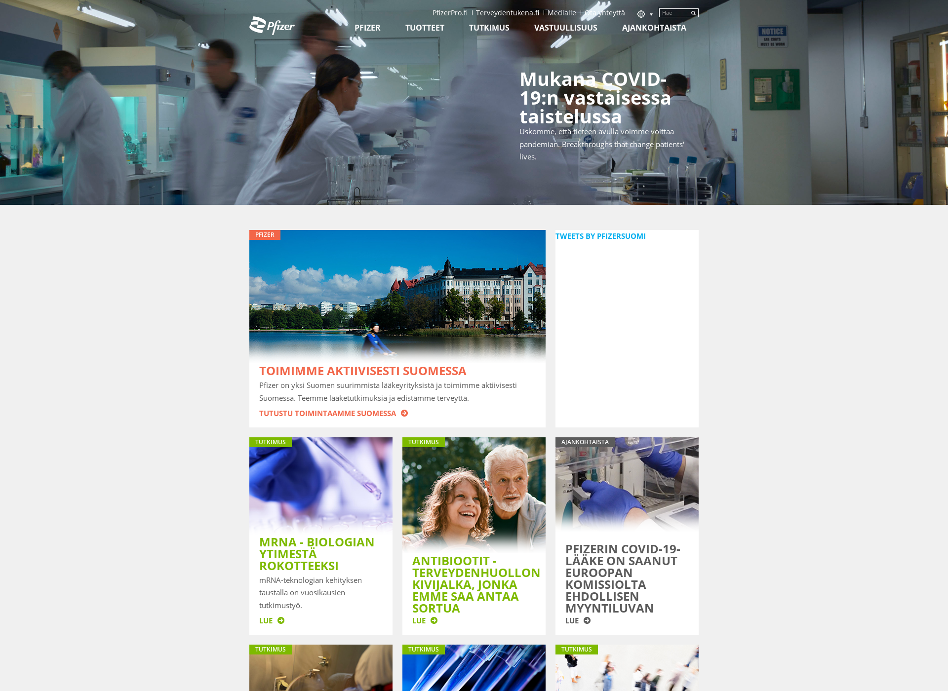 Skärmdump för partnershipinpractice.fi