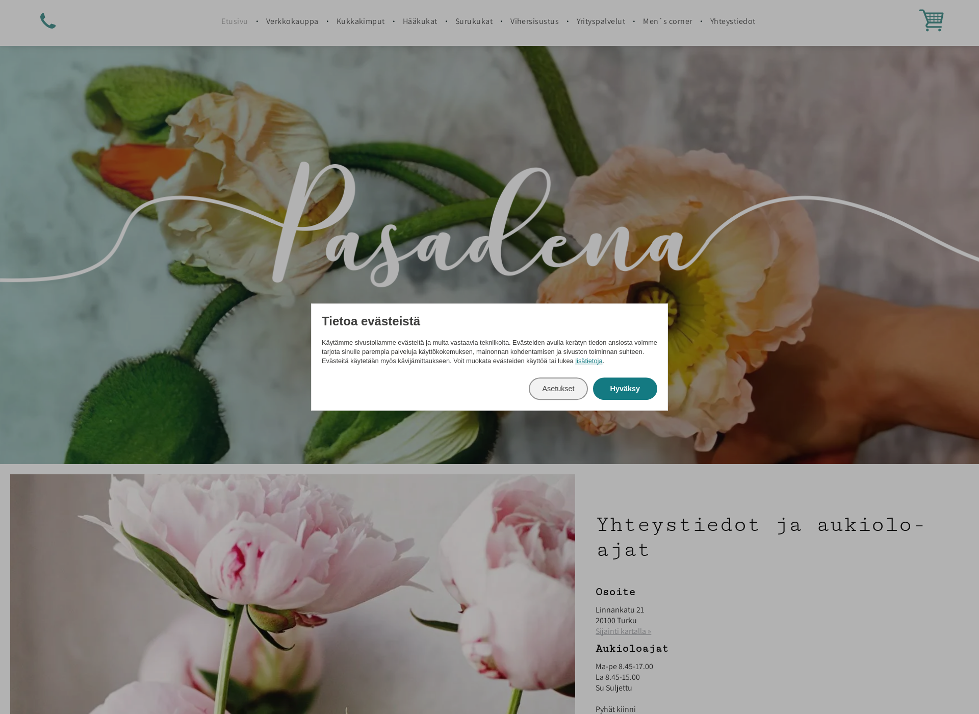 Screenshot for pasadena.fi