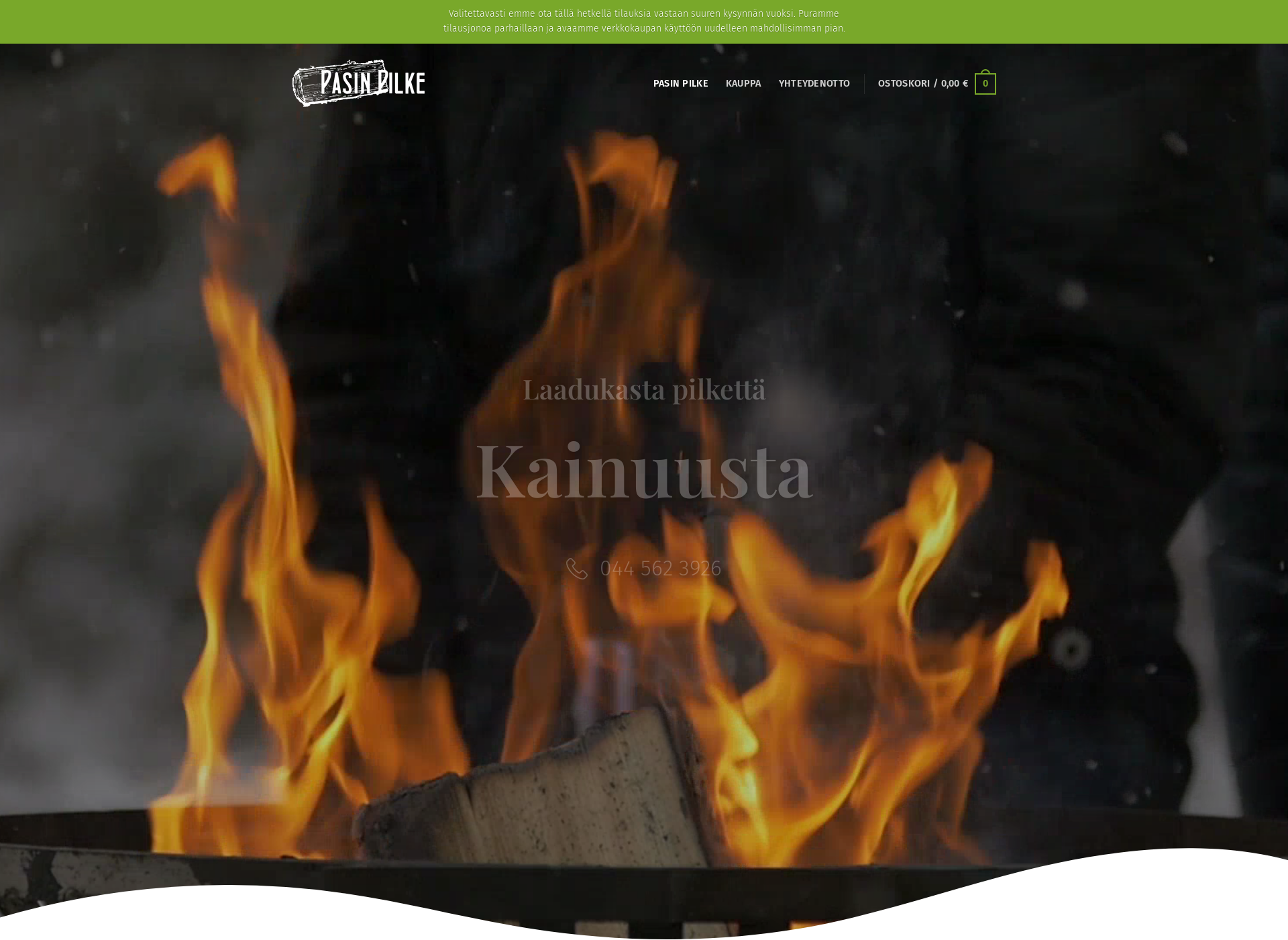 Screenshot for pasinpilke.fi