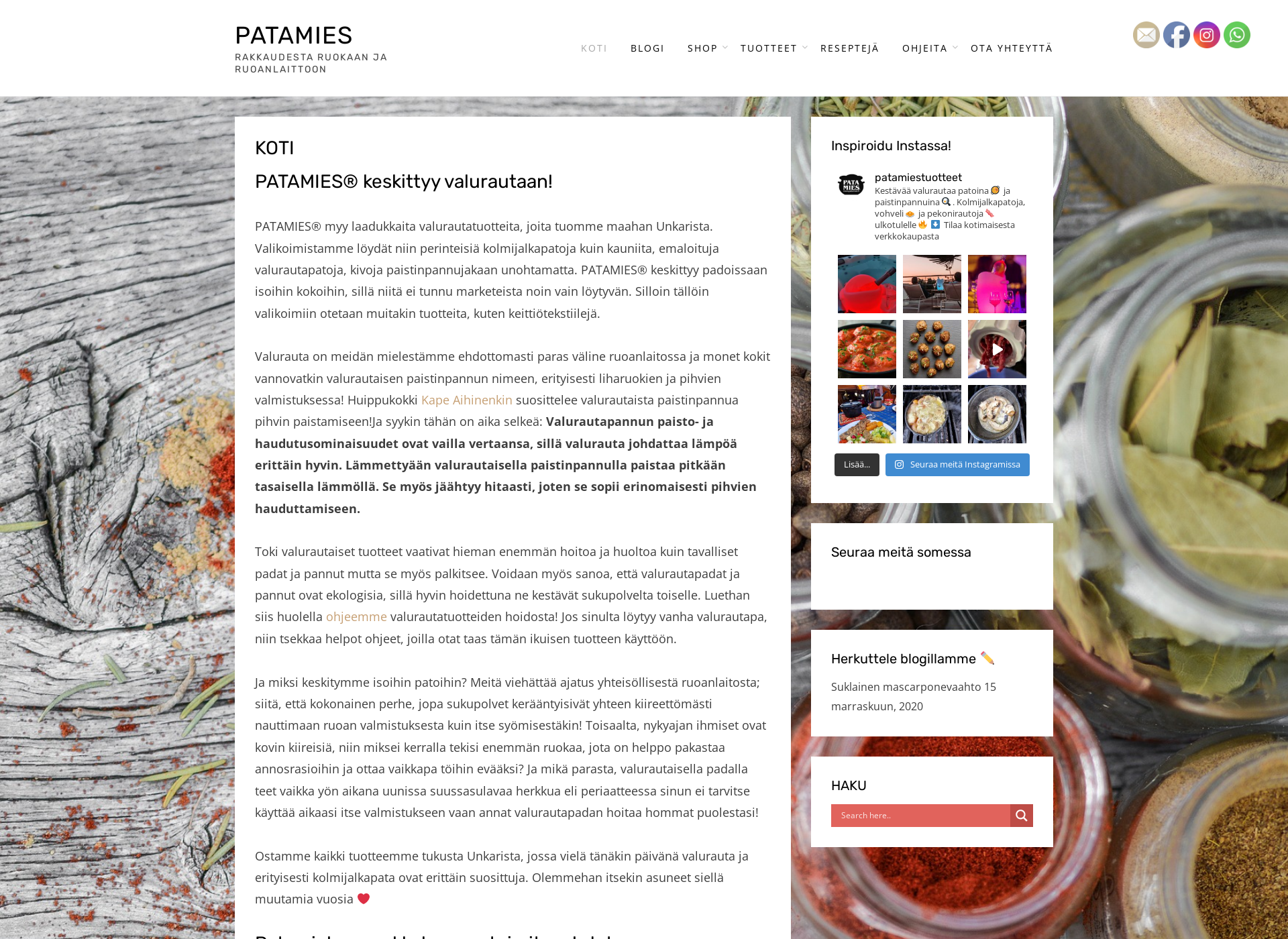 Screenshot for patamies.fi