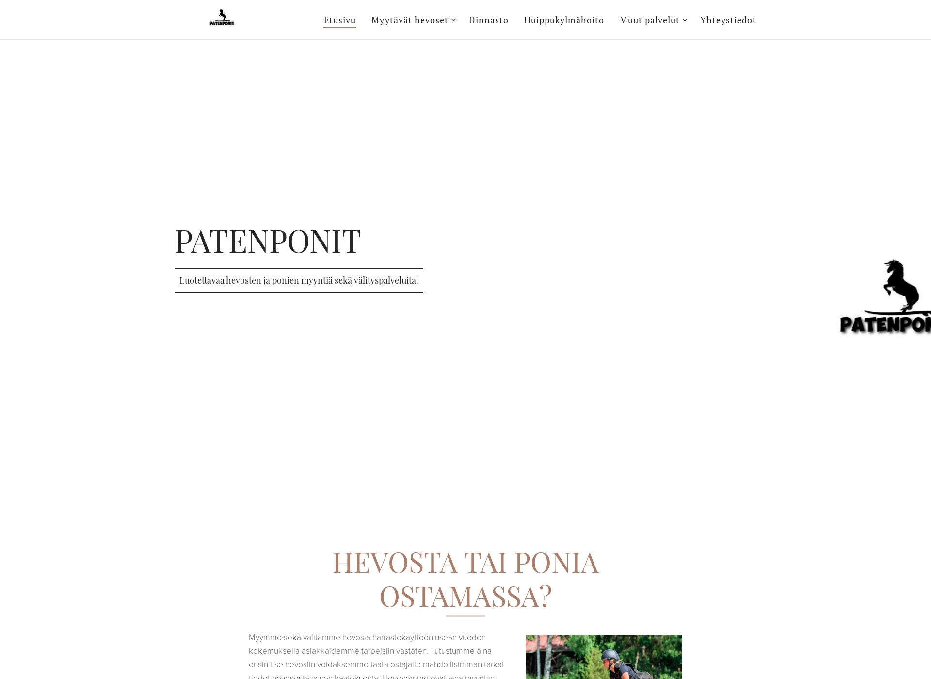 Skärmdump för patenponit.fi