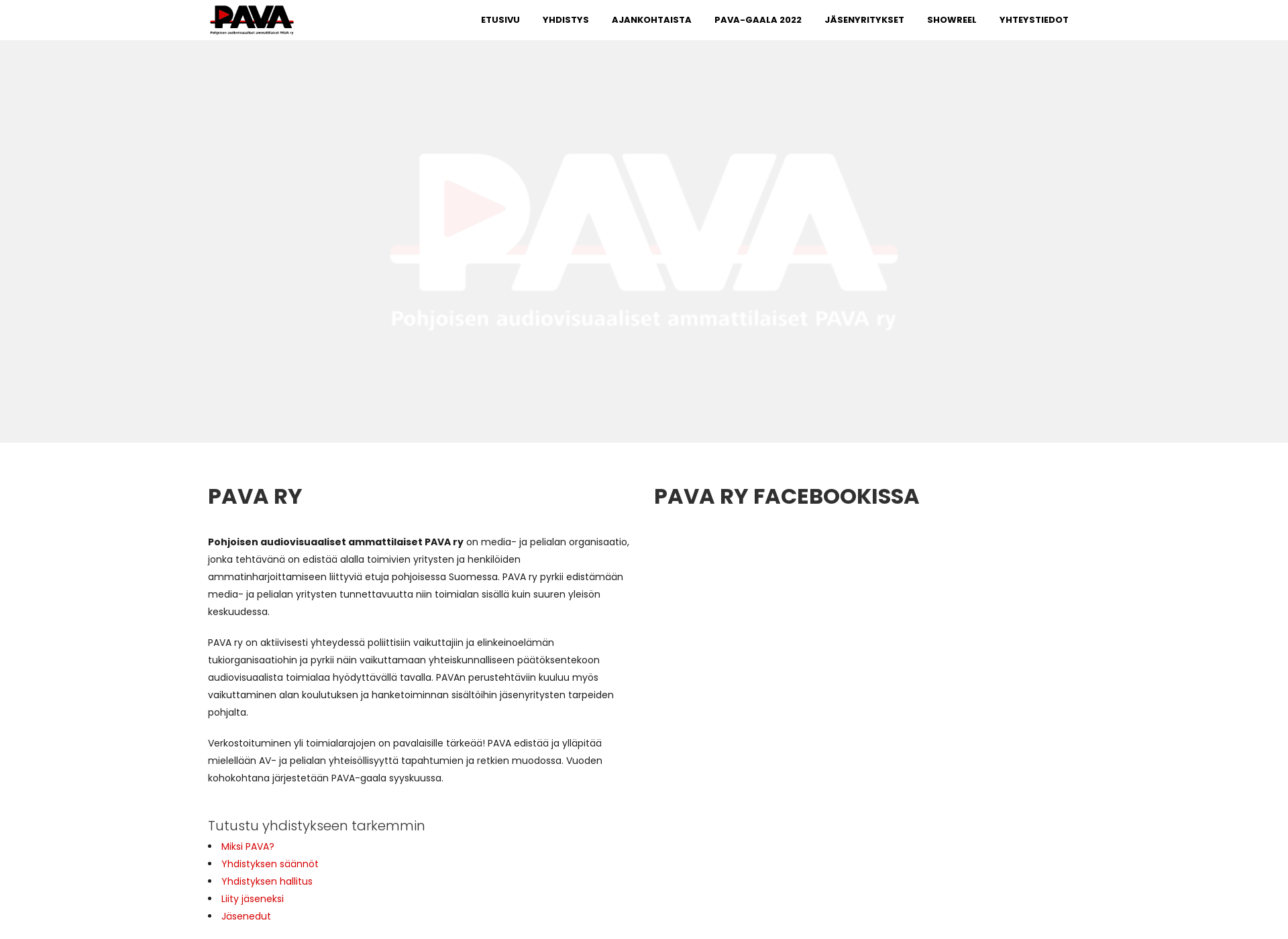 Skärmdump för pava.fi