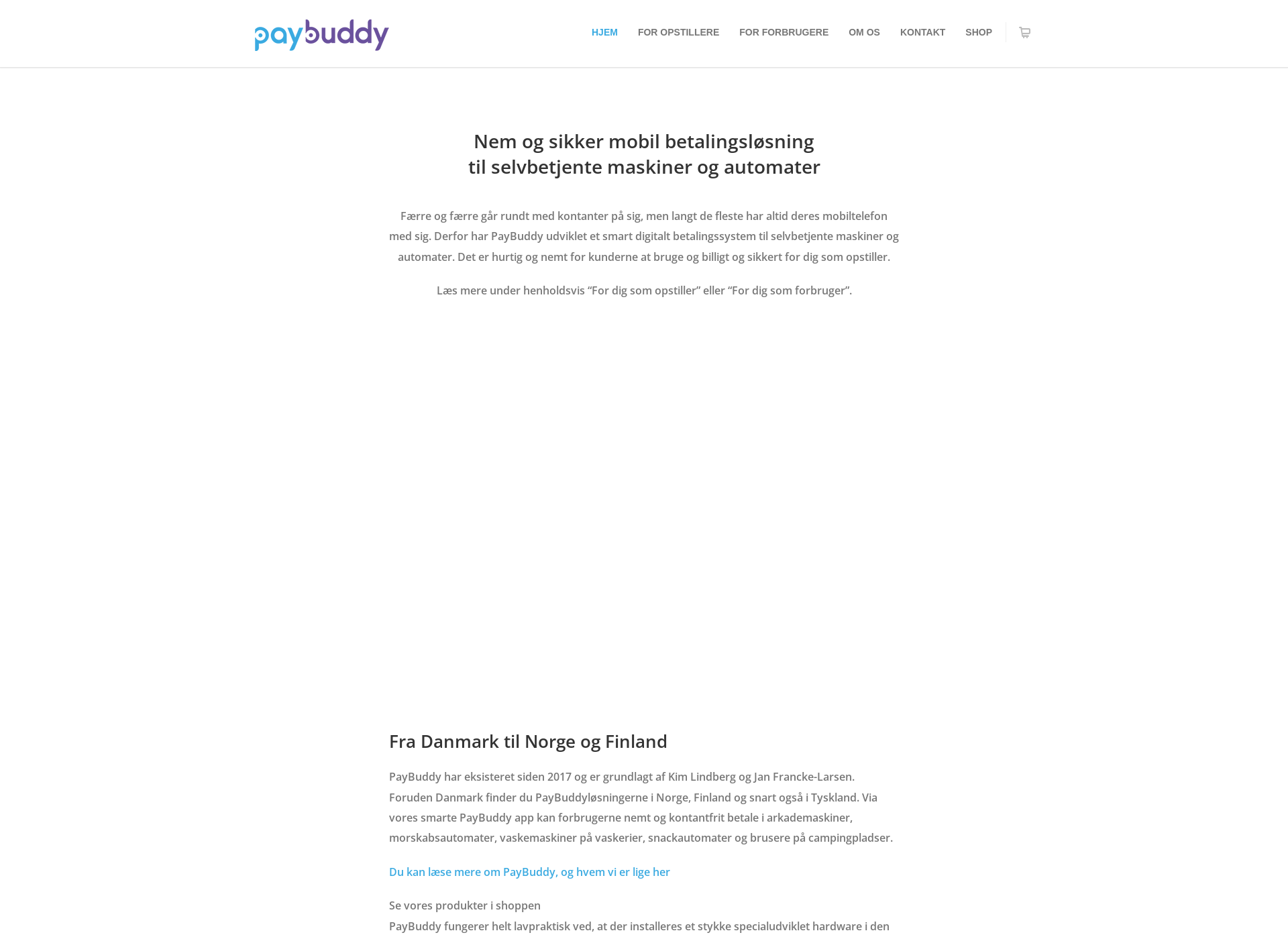 Screenshot for paybuddy.fi