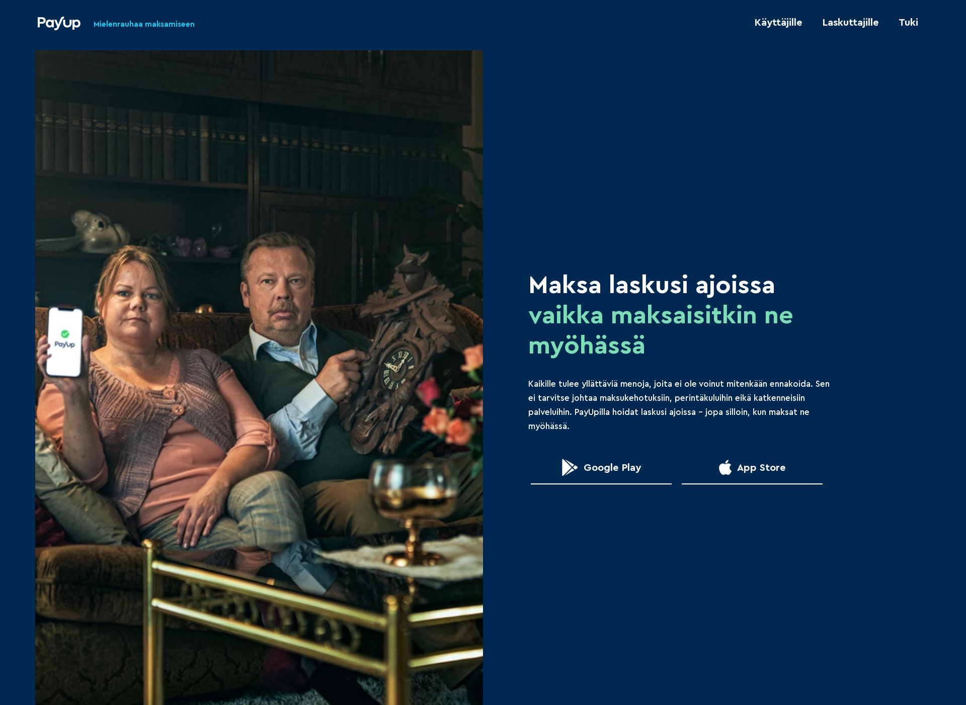 Screenshot for payup.fi