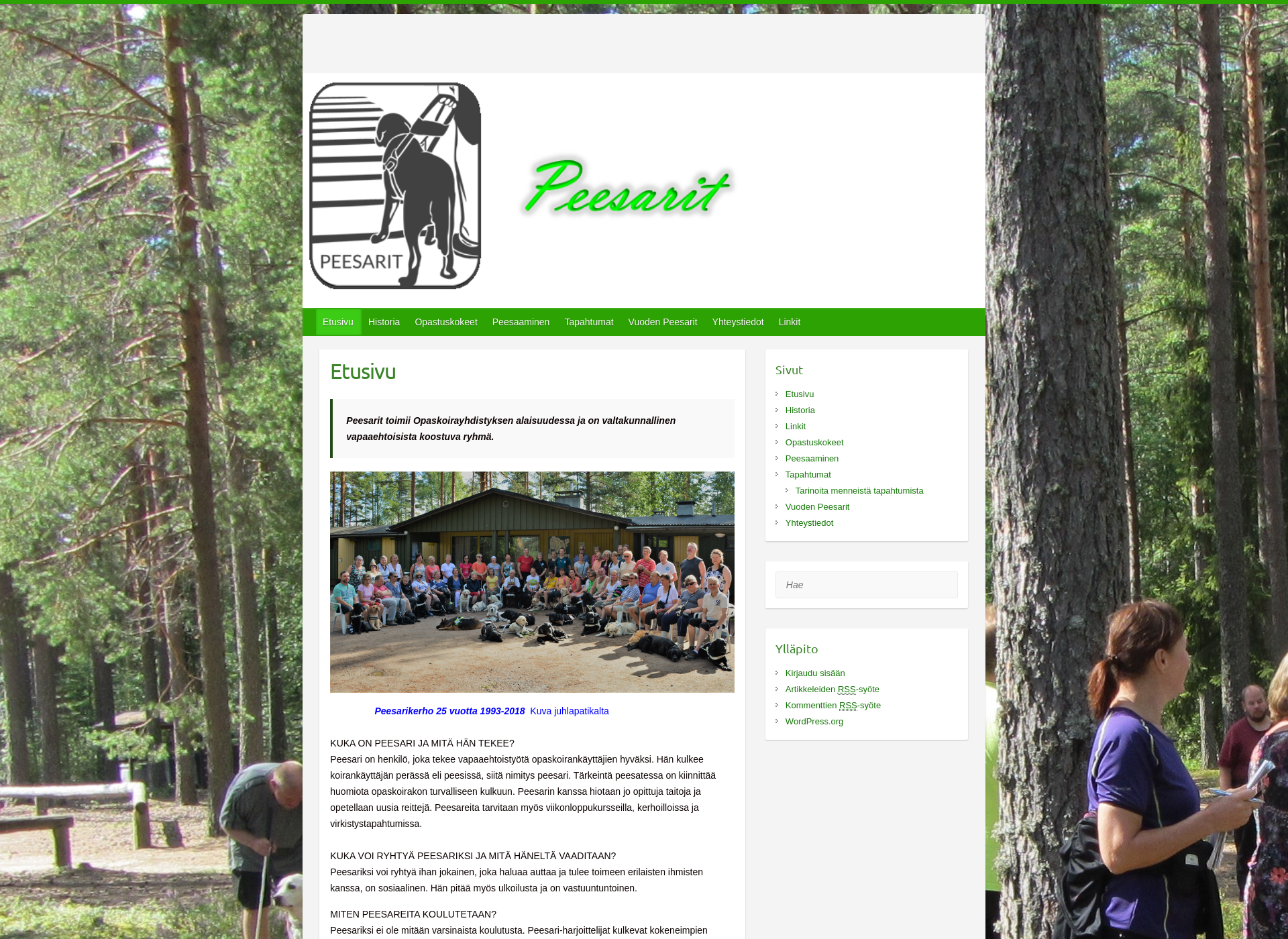 Screenshot for peesari.fi