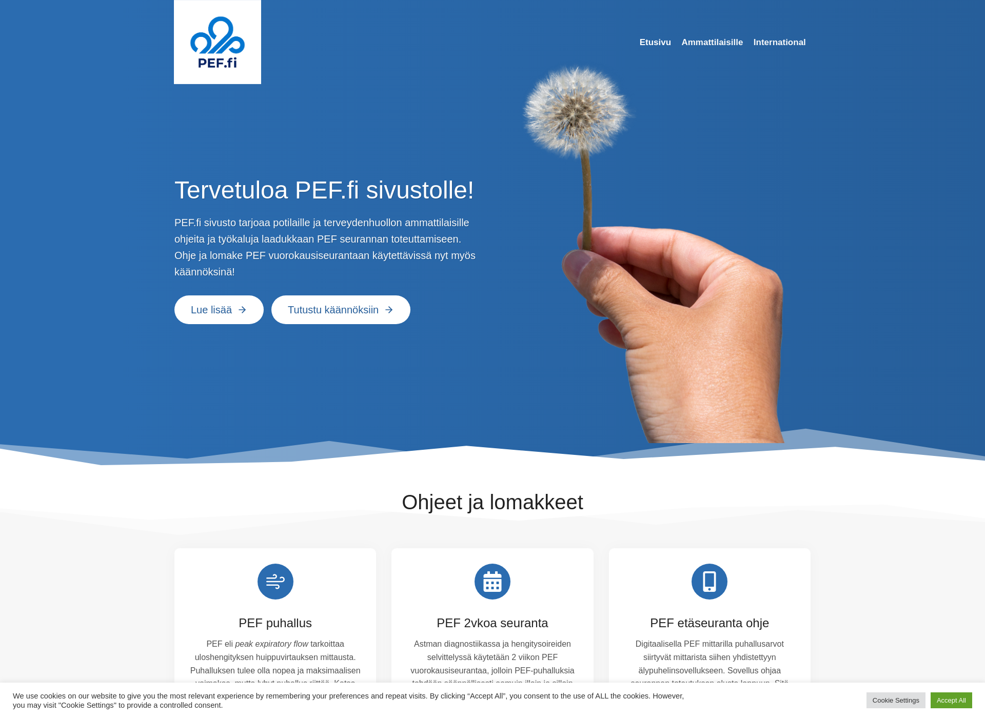 Screenshot for pef.fi
