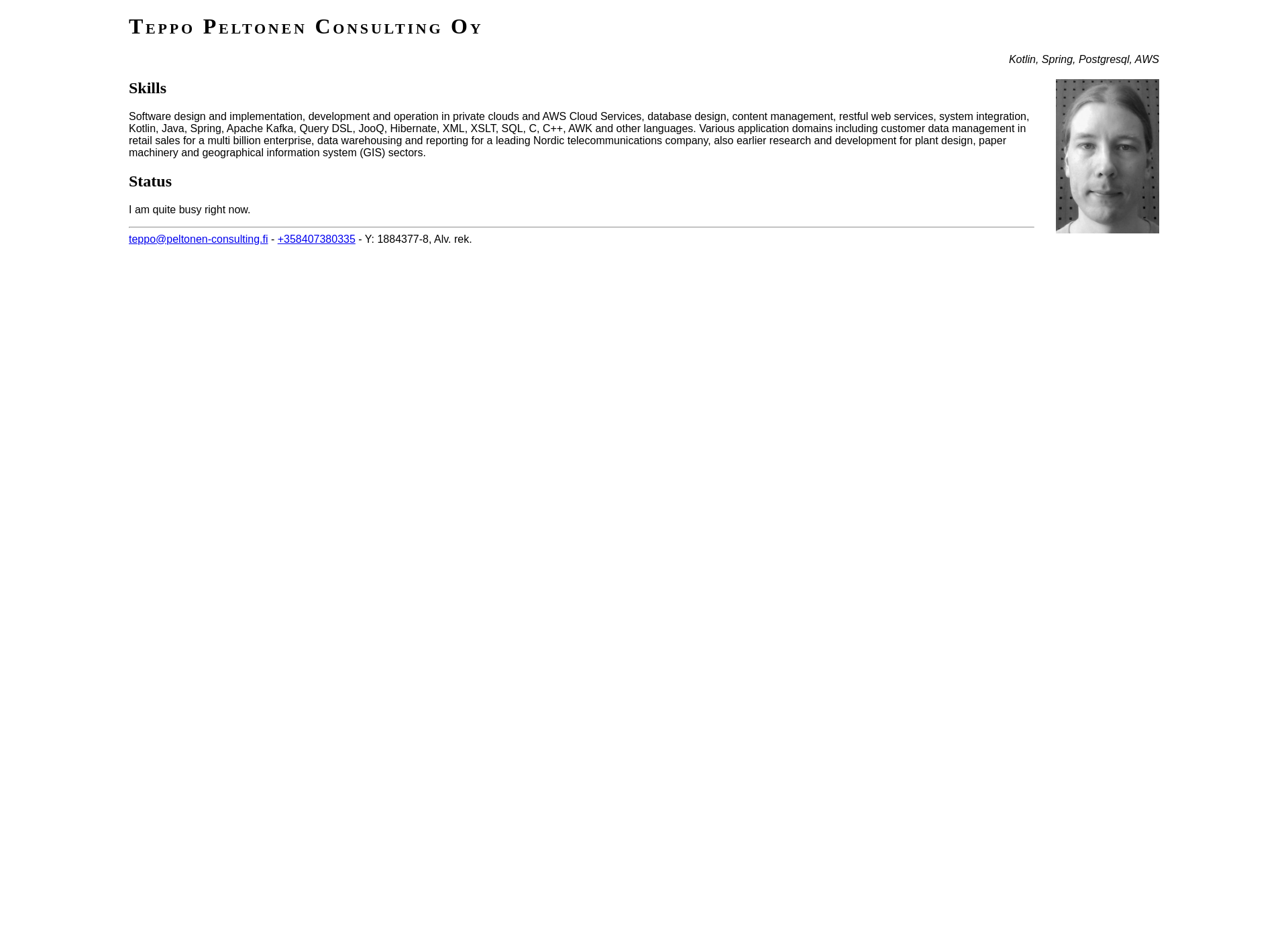 Screenshot for peltonen-consulting.fi