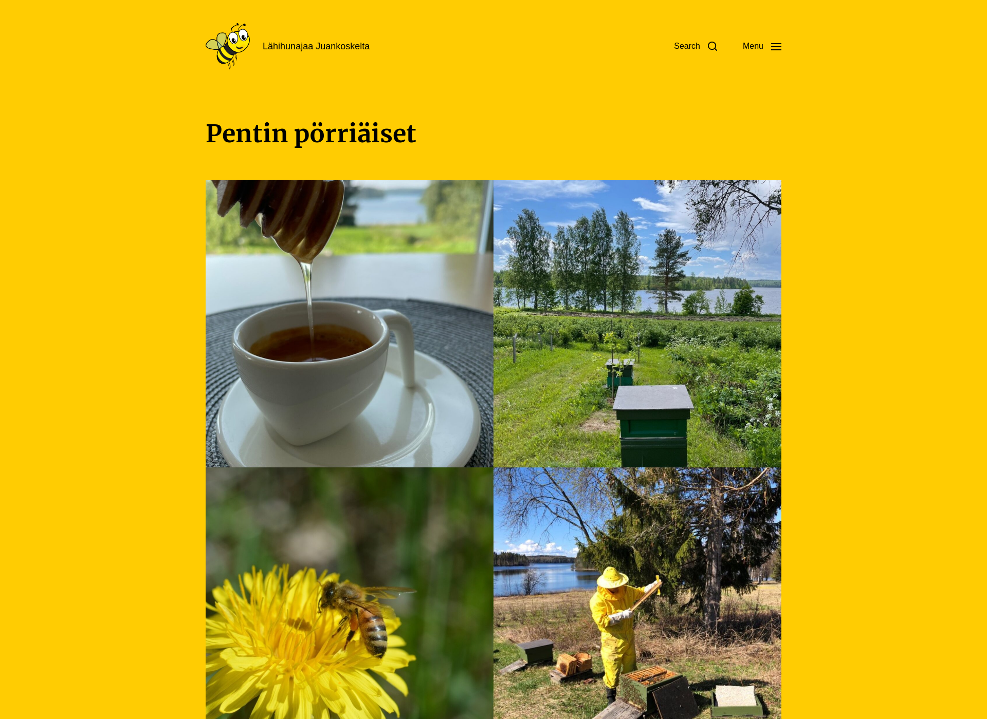 Screenshot for pentinporriaiset.fi