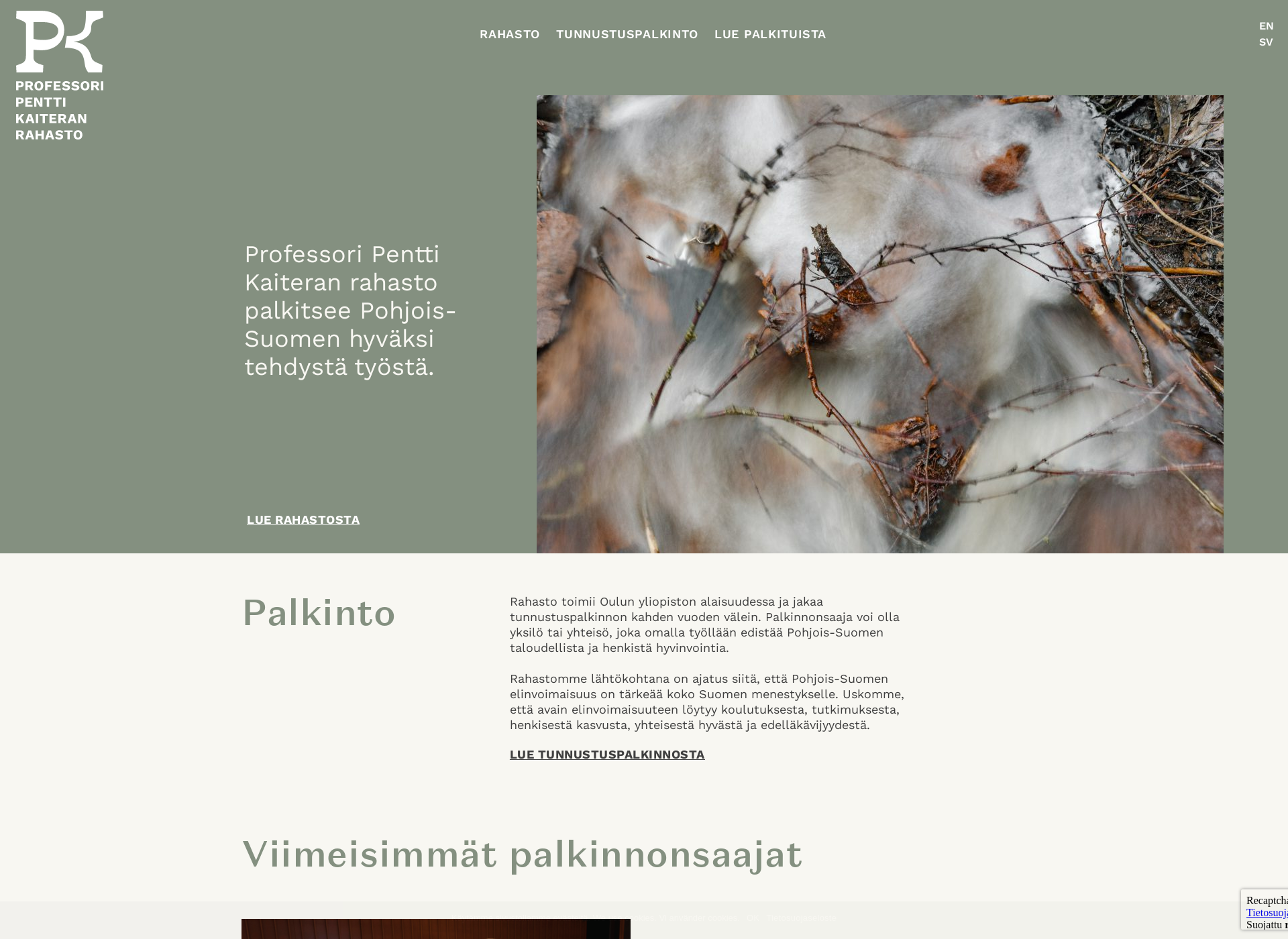 Skärmdump för penttikaitera.fi