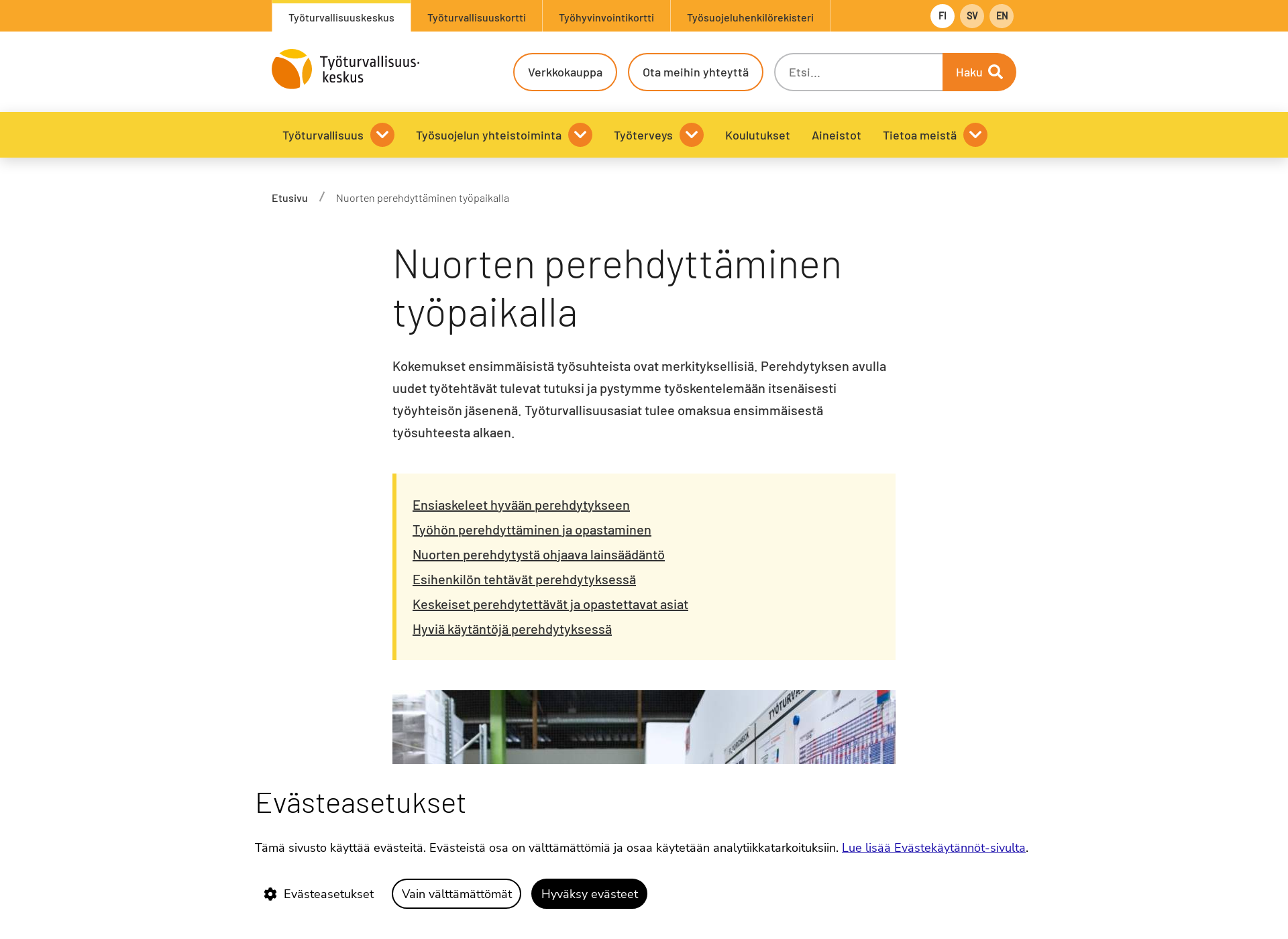 Skärmdump för perehdyta.fi