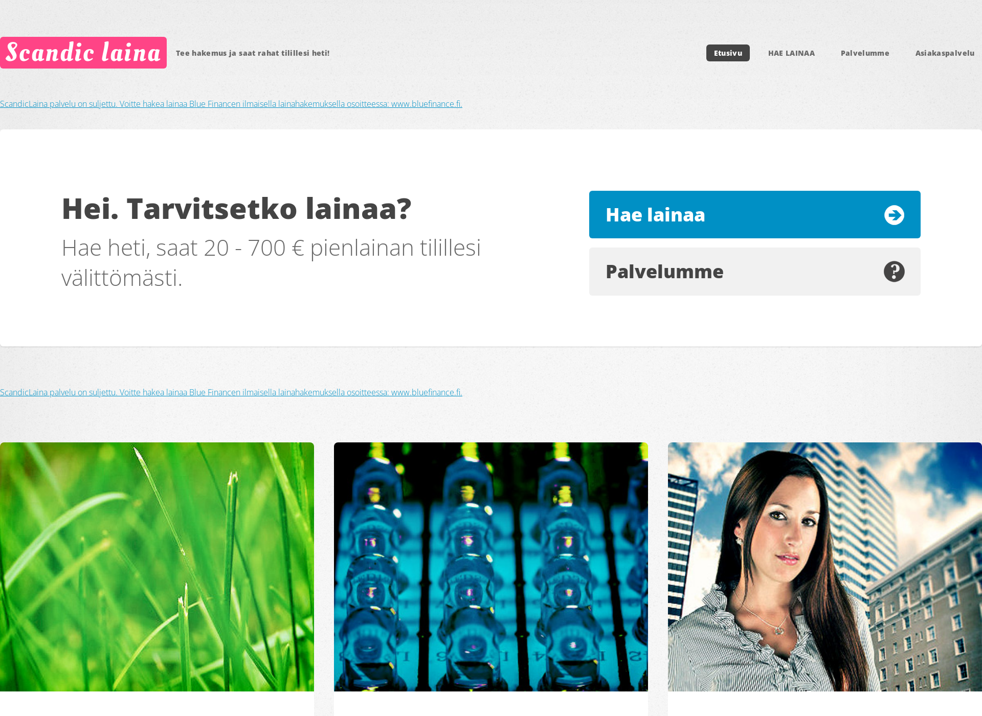 Skärmdump för perhevippi.fi